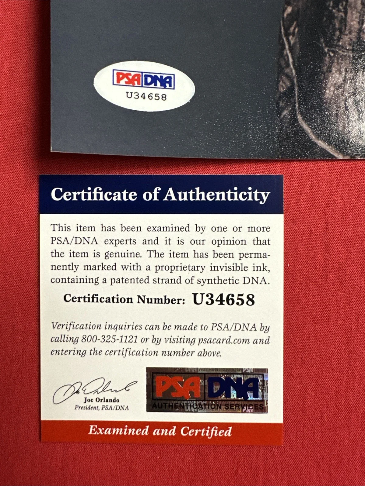 Si Robertson — Si Robertson Duck Dynasty 8 X 10 Autograph Psa, image 4