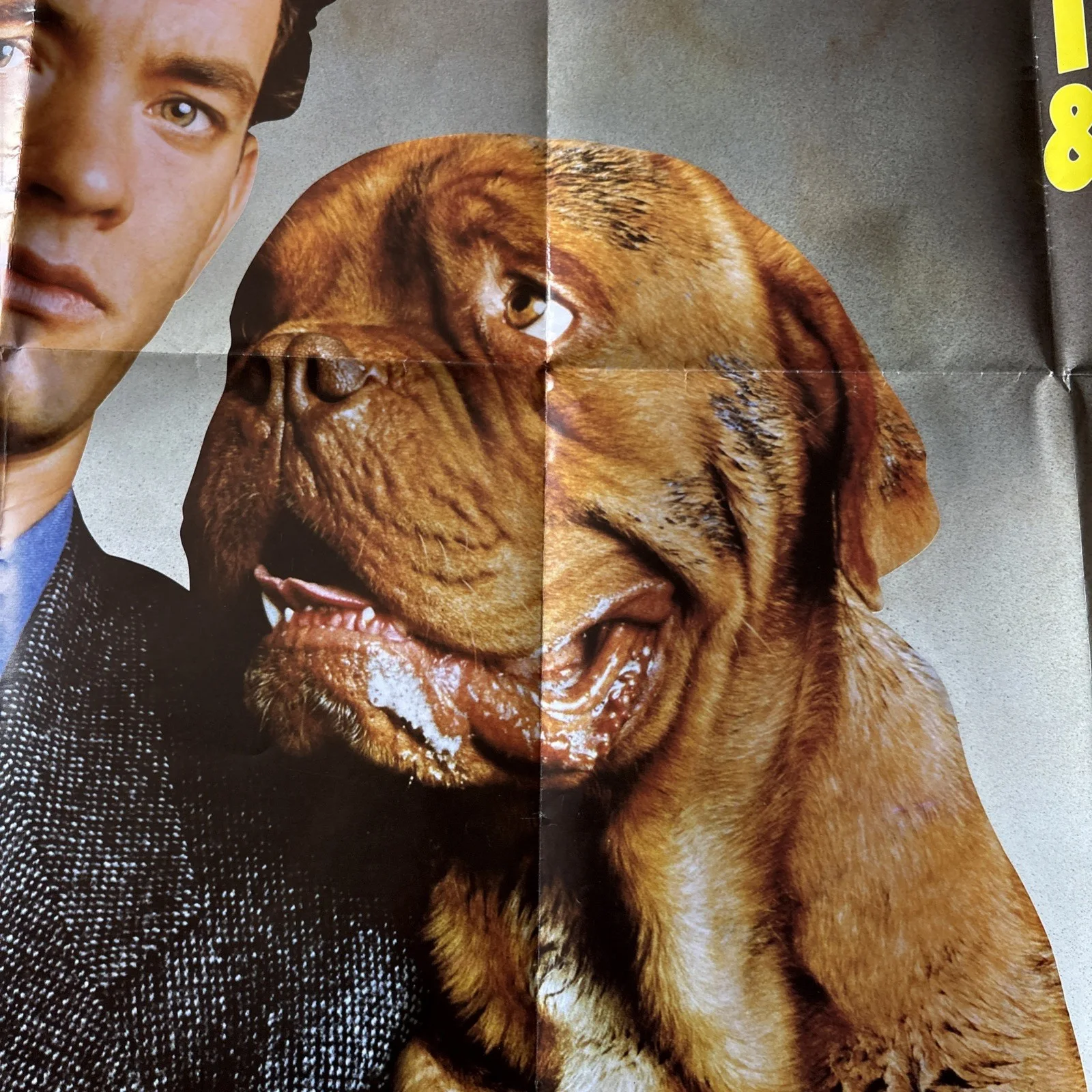 Original 1989 Quad Movie Film Poster Turner & Hooch - Tom Hanks, изображение 5