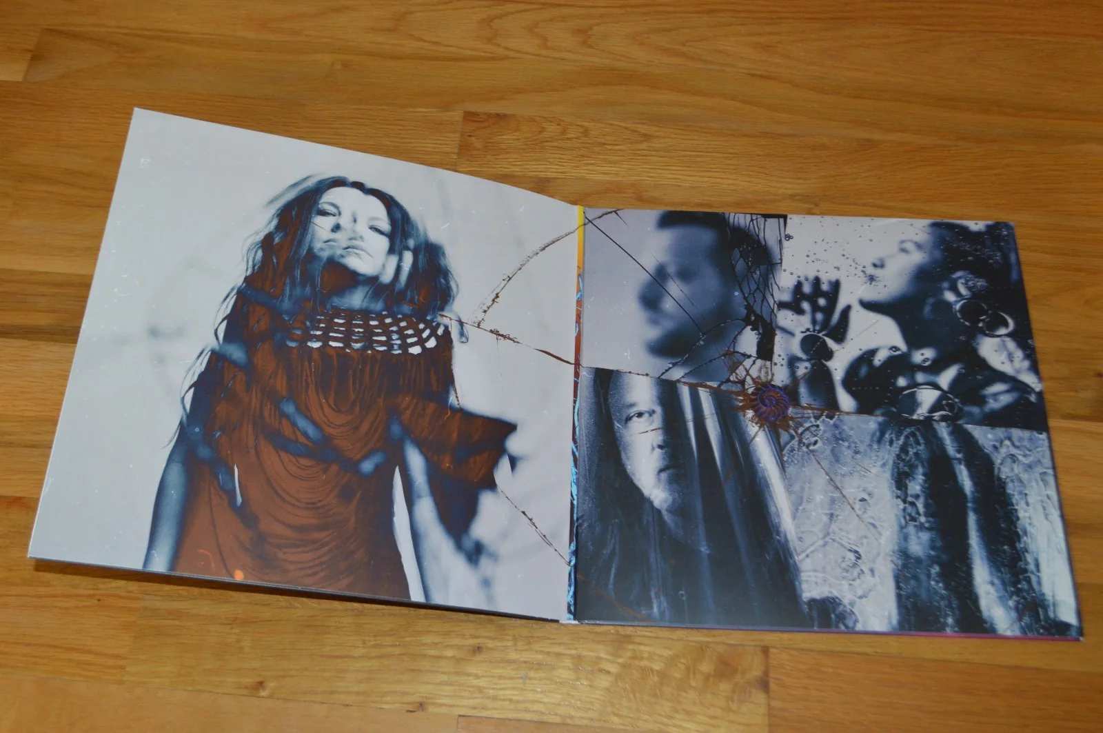 Evanescence ~ Amy Lee Autographed "The Bitter Truth" Vinyl LP with PSA Hologram, image 5