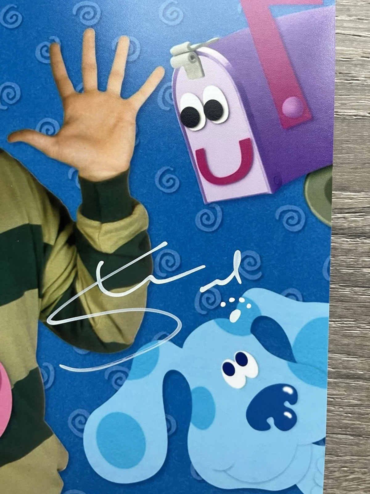 Steve Burns — Steve Burns Signed Blues Clues 8x10 Photo Beckett COA Nickelodeon, image 3