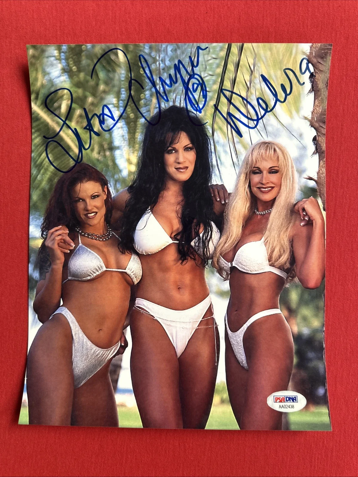 Debra Chyna Lita — Debra , Chyna , Lita 3 Autographs WWE PSA Authentic 8 X 10, изображение 2