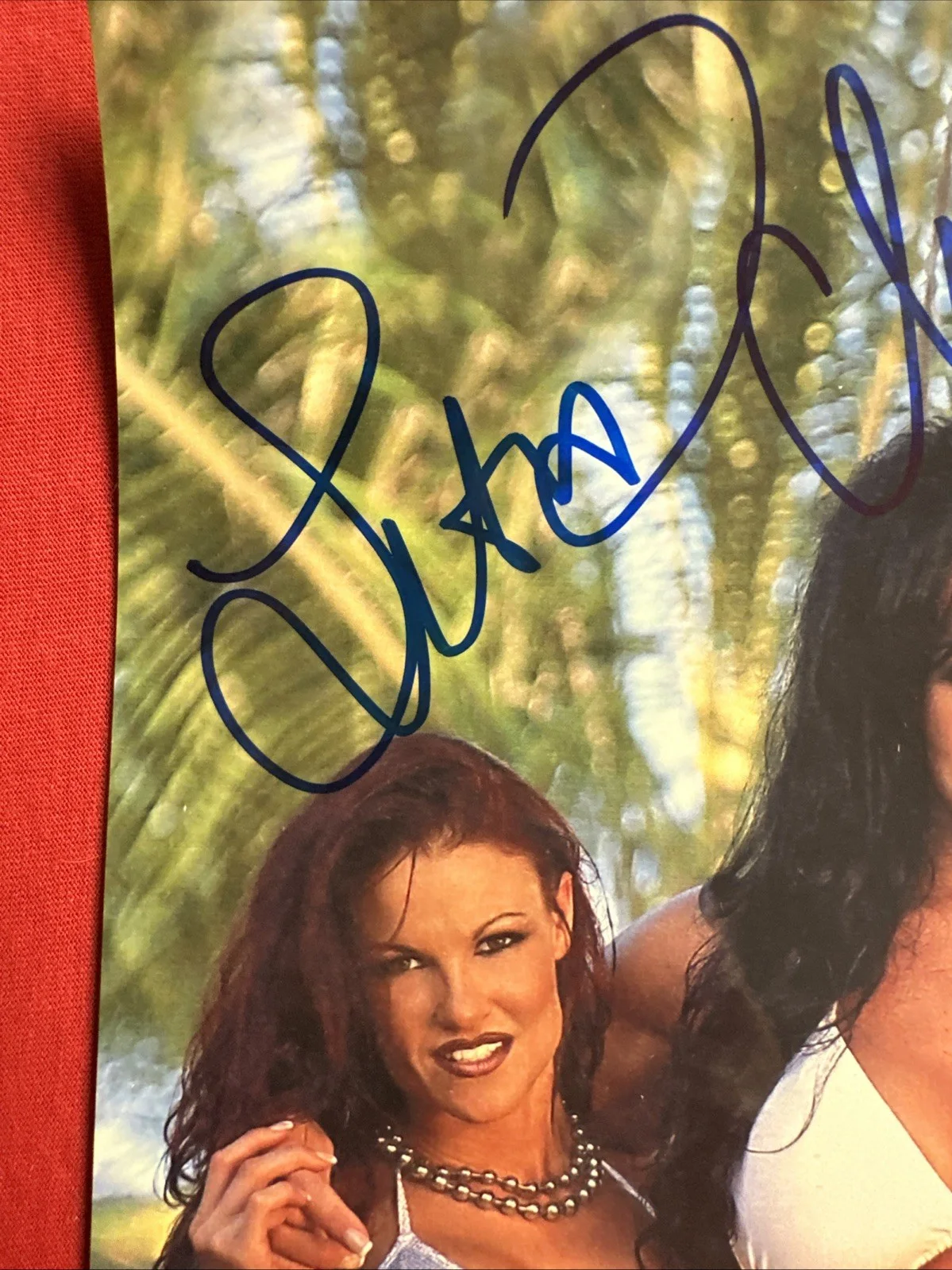 Debra Chyna Lita — Debra , Chyna , Lita 3 Autographs WWE PSA Authentic 8 X 10, изображение 4