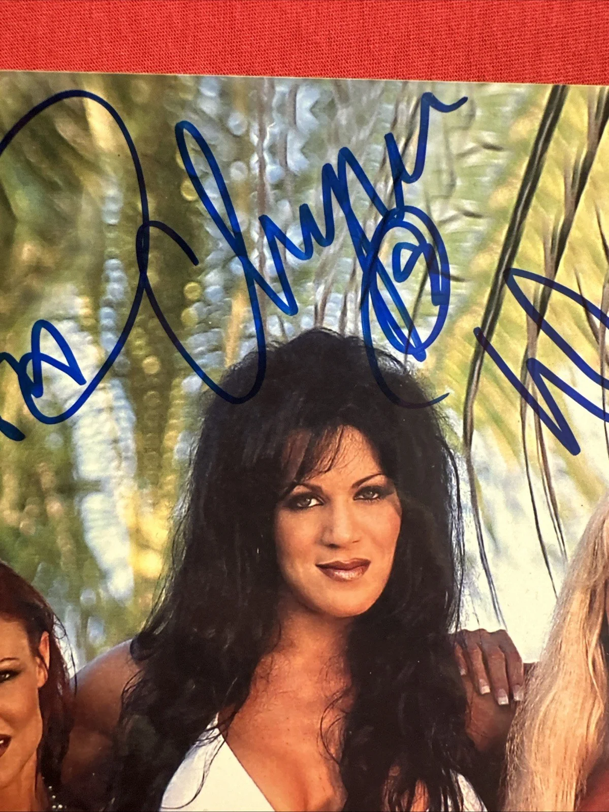 Debra Chyna Lita — Debra , Chyna , Lita 3 Autographs WWE PSA Authentic 8 X 10, изображение 5