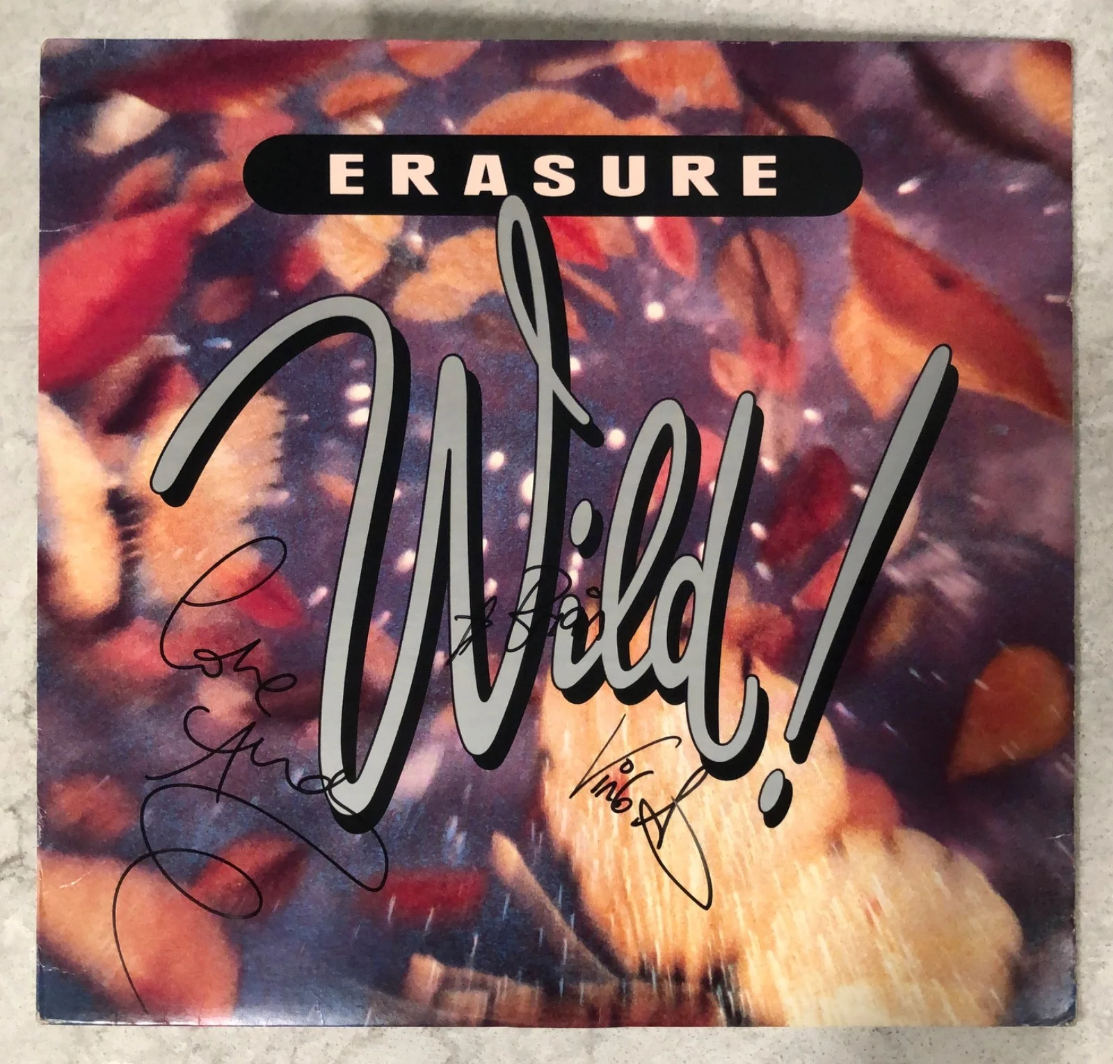 Autographed Erasure Wild! LP Record Album Signed To BRIAN, image 2