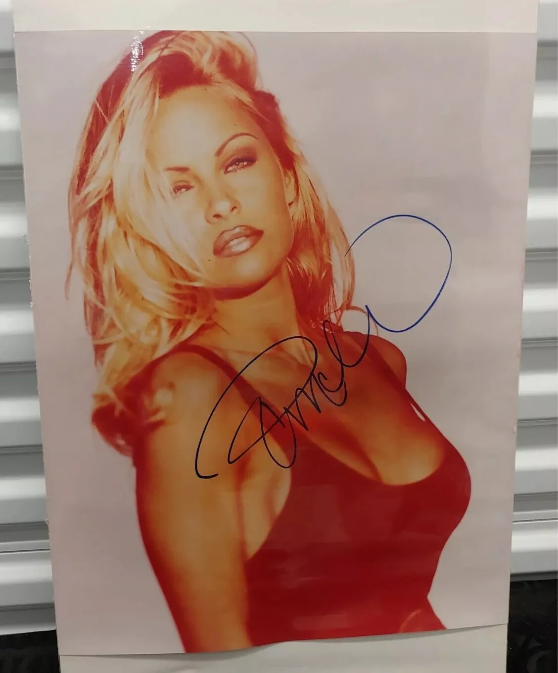 PAMELA ANDERSON — Pamela Anderson Sexy Playboy Model Signed Autographed 16x20 Photo w/COA