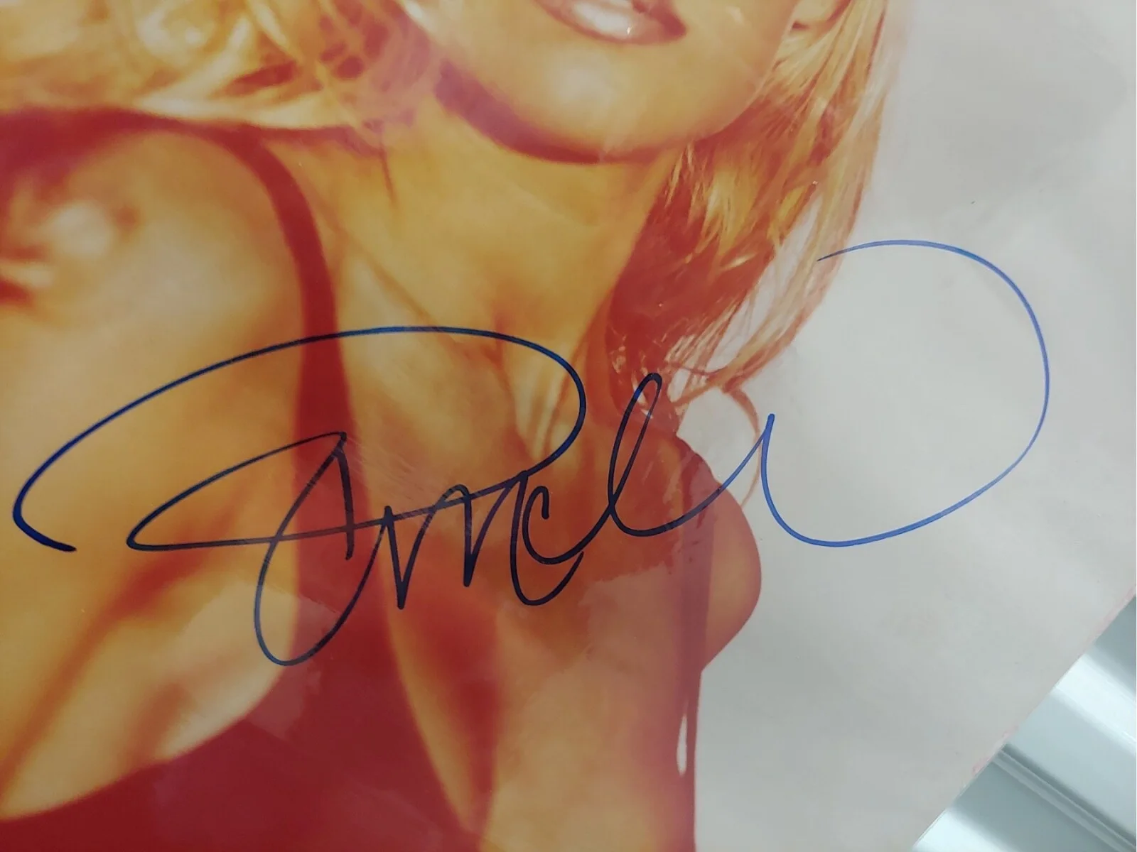 PAMELA ANDERSON — Pamela Anderson Sexy Playboy Model Signed Autographed 16x20 Photo w/COA, изображение 2