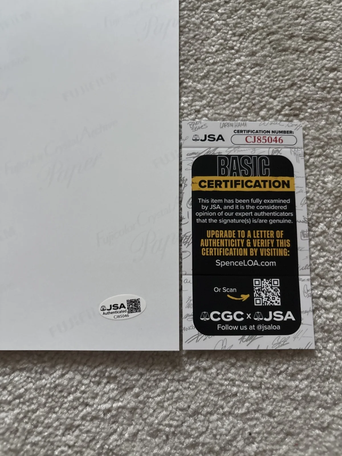 Gus Van Sant — Gus Van Sant signed photo 12X18 exact proof JSA COA autographed Elephant, image 4