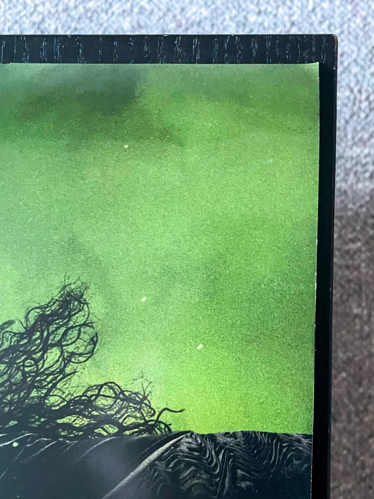 Cynthia Erivo — Cynthia Erivo Elphaba Signed WICKED 27x40 Full Size Poster EXACT Proof JSA COA, изображение 5