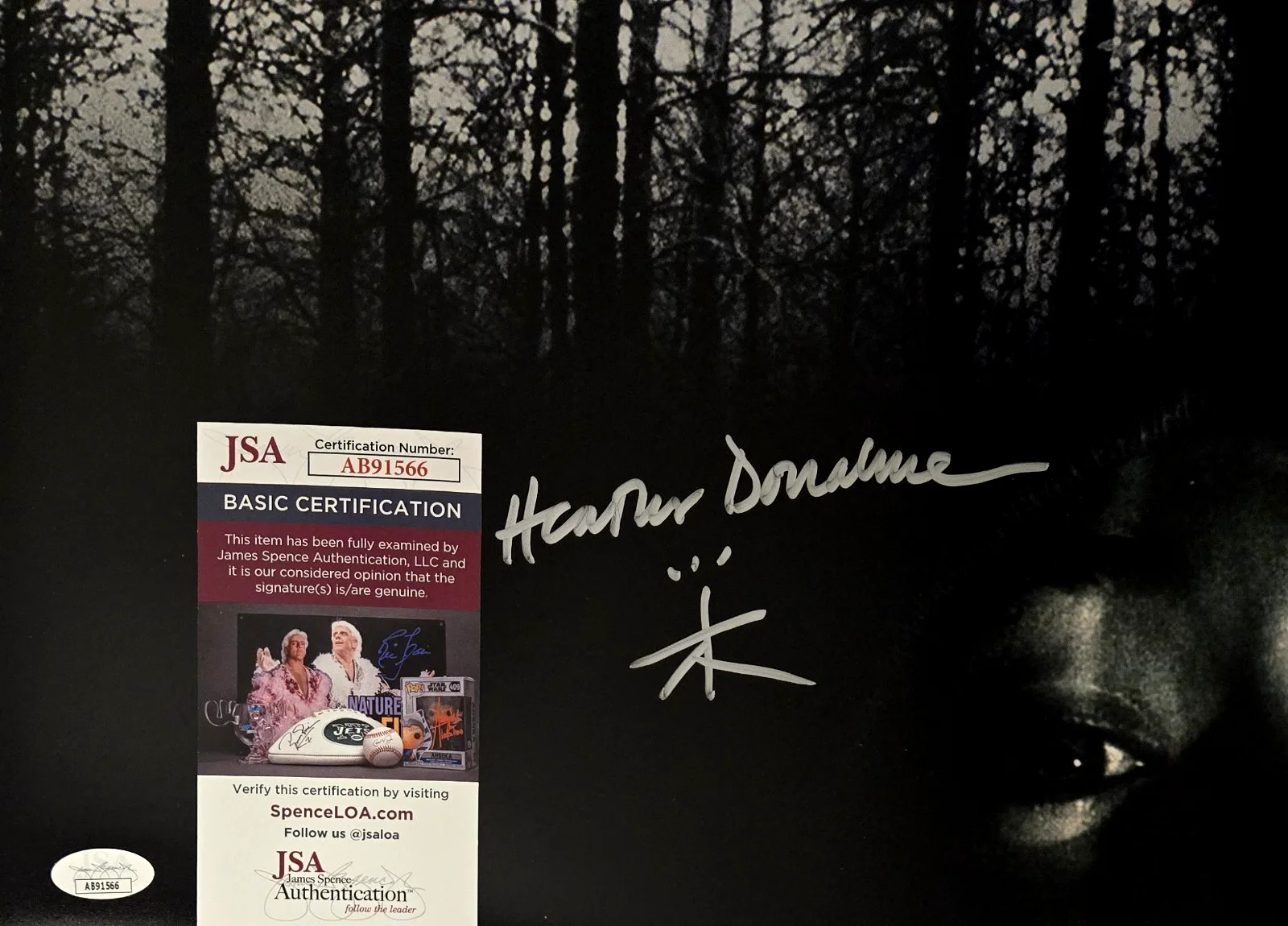 Heather Donahue — Heather Donahue Signed Photo The Blair Witch Project Autograph 11x17 JSA COA 566, image 2