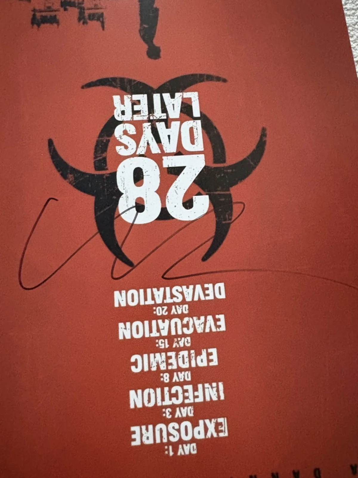 Cillian Murphy — Cillian Murphy signed photo 12X18 exact proof autographed 28 Days Later, изображение 4