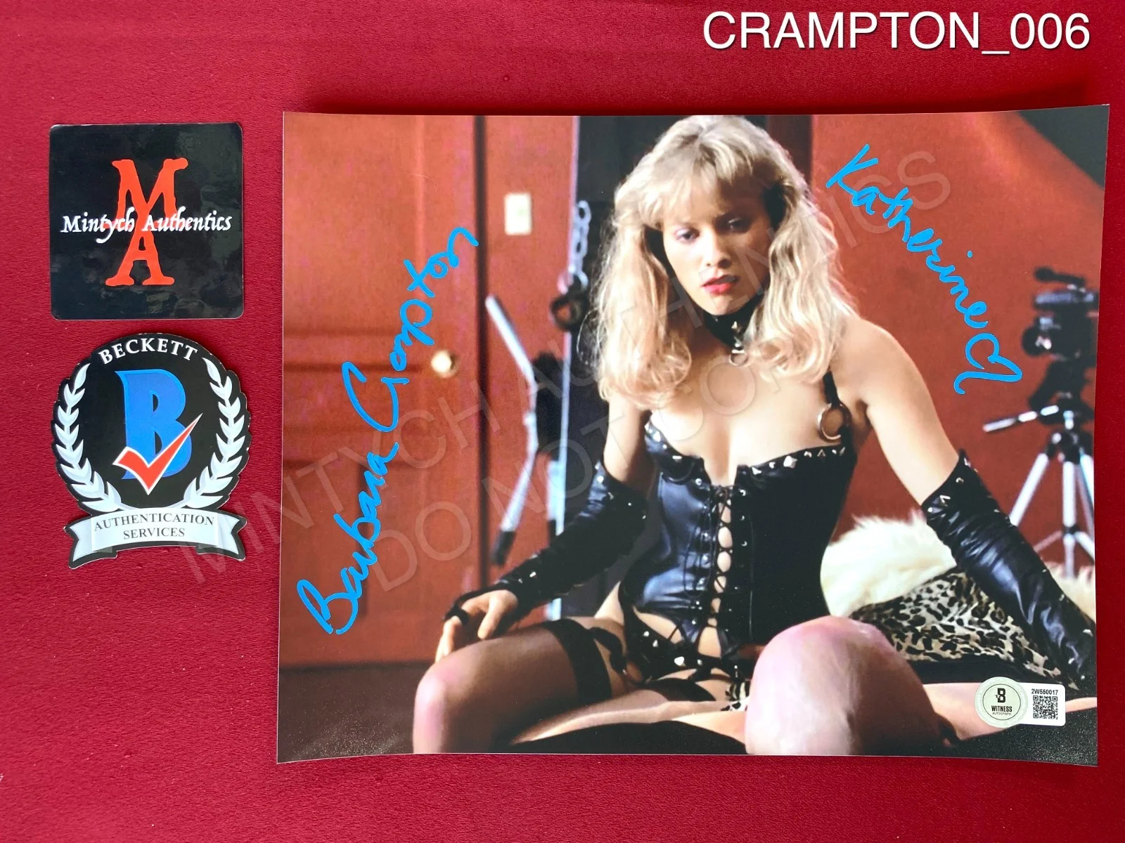 Barbara Crampton — Barbara Crampton autographed signed 8x10 photo From Beyond Katherine Beckett
