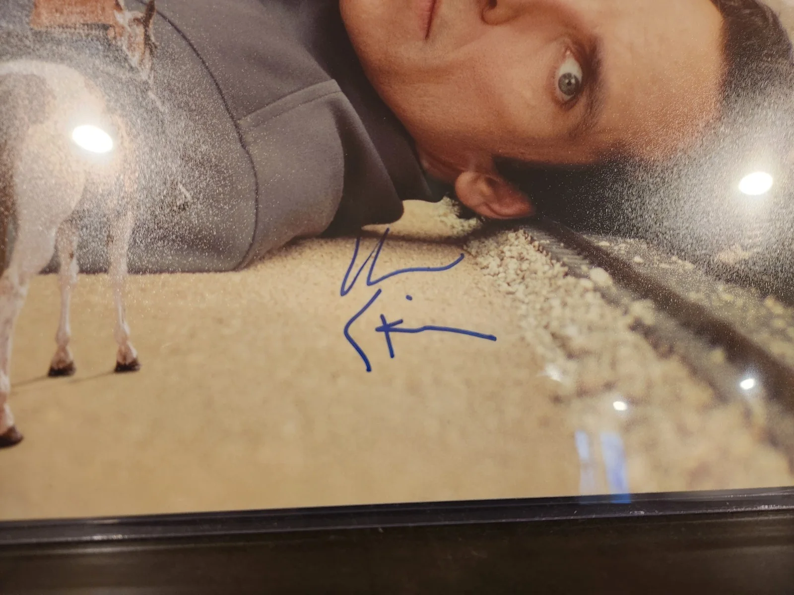 Ben Stiller — Signed 11x14 BEN STILLER Night at the Museum Autograph OCCM COA, image 2