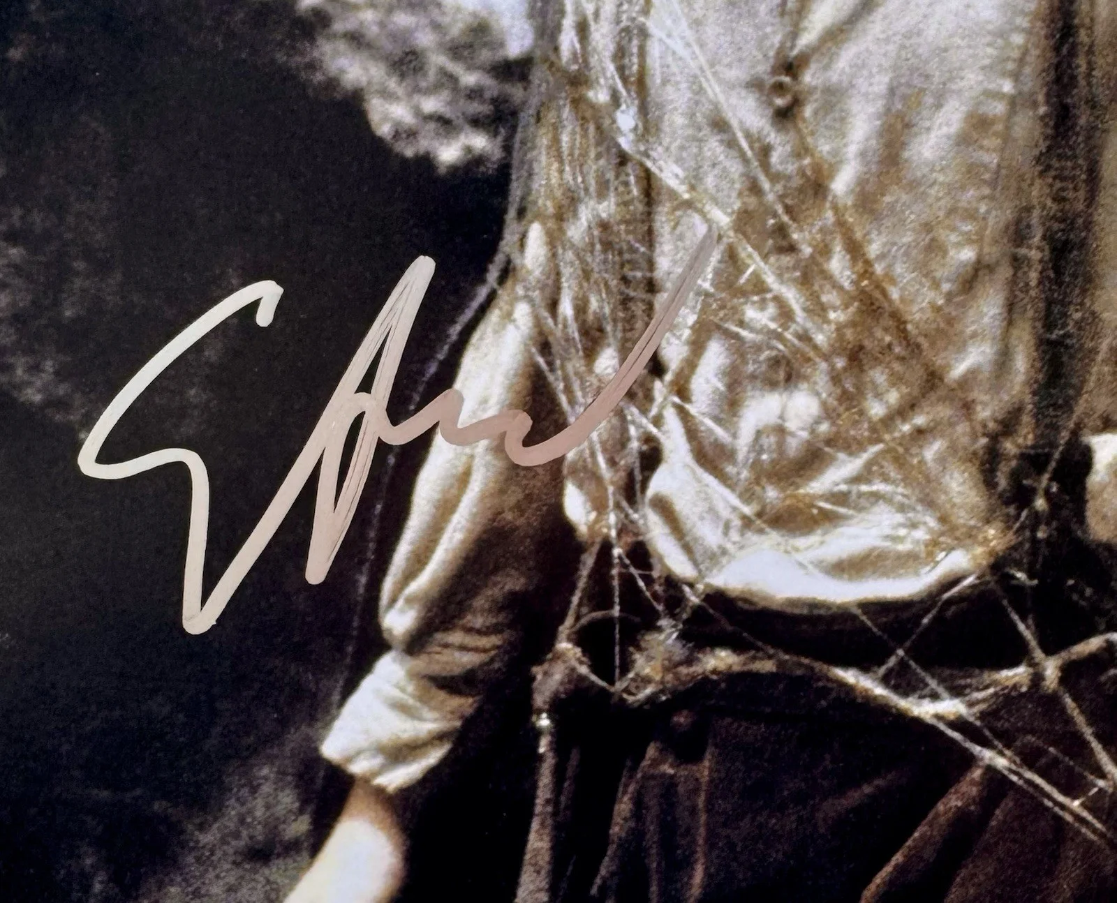 ELIJAH WOOD — ELIJAH WOOD SIGNED AUTOGRAPH 'LORD OF THE RINGS' FRODO 11X14 PHOTO +JSA COA, изображение 3
