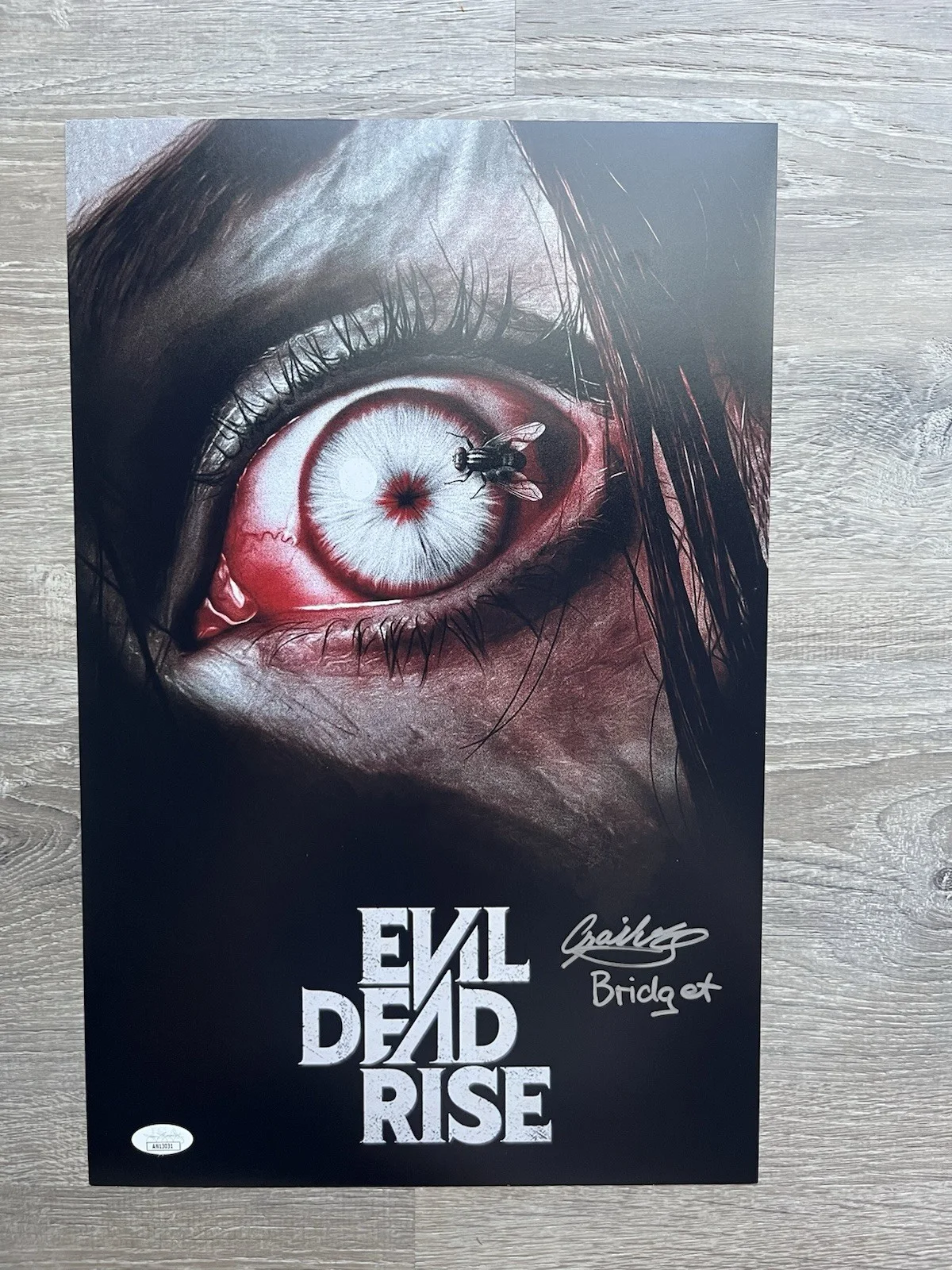 Gabrielle Echols — Gabrielle Echols Signed Evil Dead Rise 11x17 Photo JSA COA Horror Auto, image 2