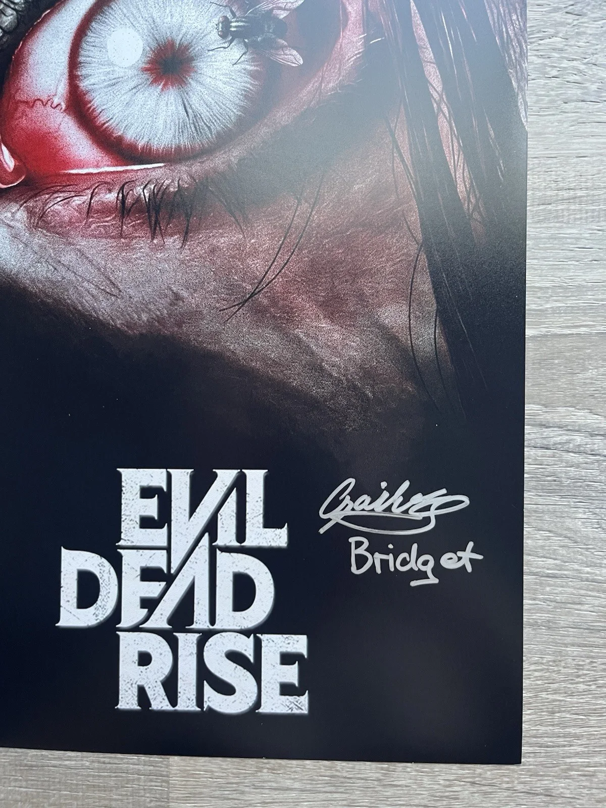 Gabrielle Echols — Gabrielle Echols Signed Evil Dead Rise 11x17 Photo JSA COA Horror Auto, image 3