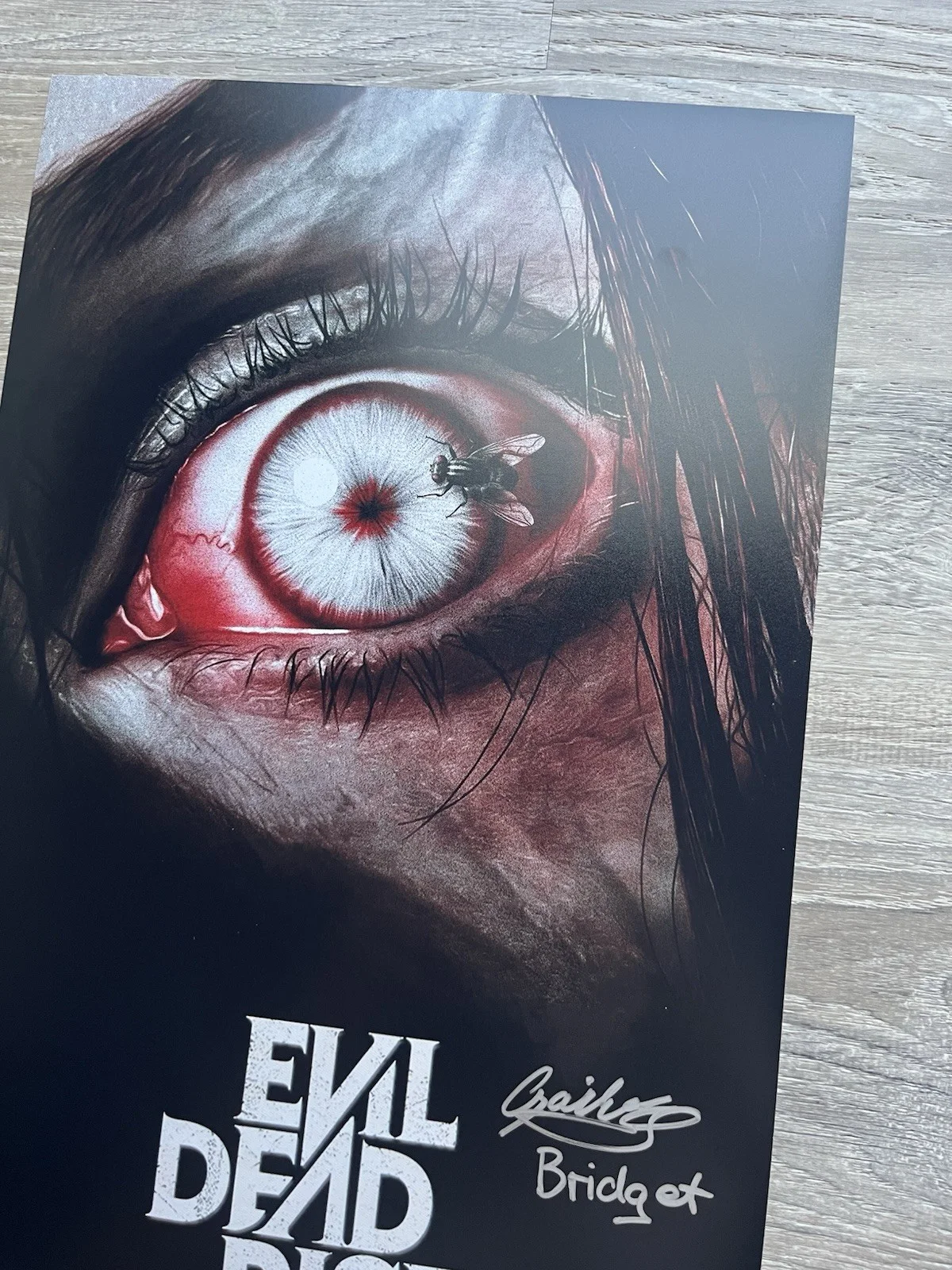 Gabrielle Echols — Gabrielle Echols Signed Evil Dead Rise 11x17 Photo JSA COA Horror Auto, image 4