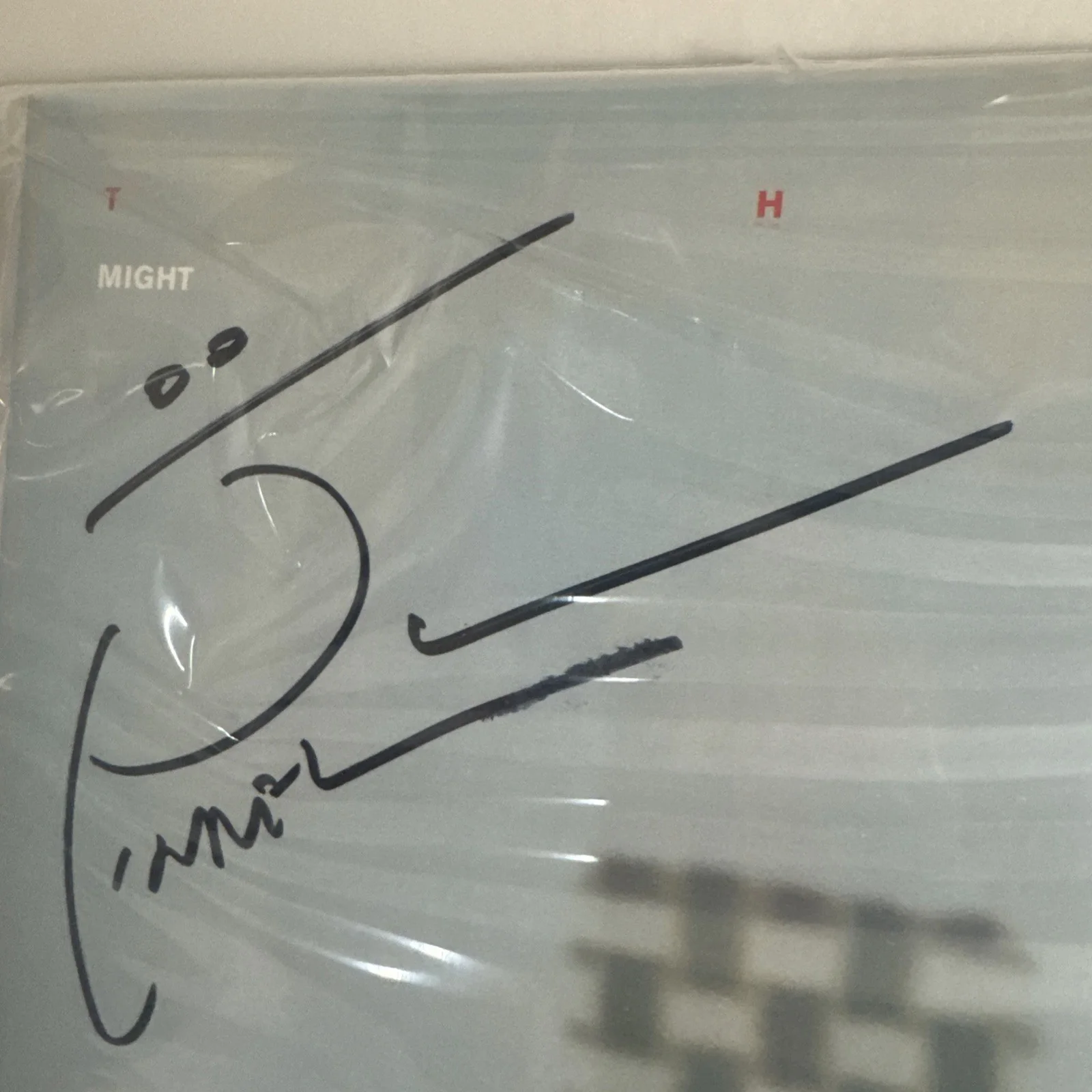 THEY MIGHT BE GIANTS Autographed “Spine Surfs Alone” Signed Cover Red Vinyl New, image 4