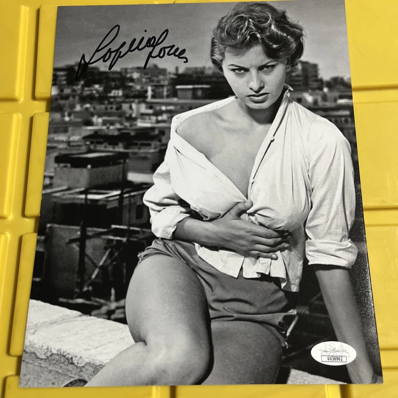 Sophia Loren — Sophia Loren Signed BEAUTIFUL Photo Auto JSA COA RARE Legendary Actress 8x10