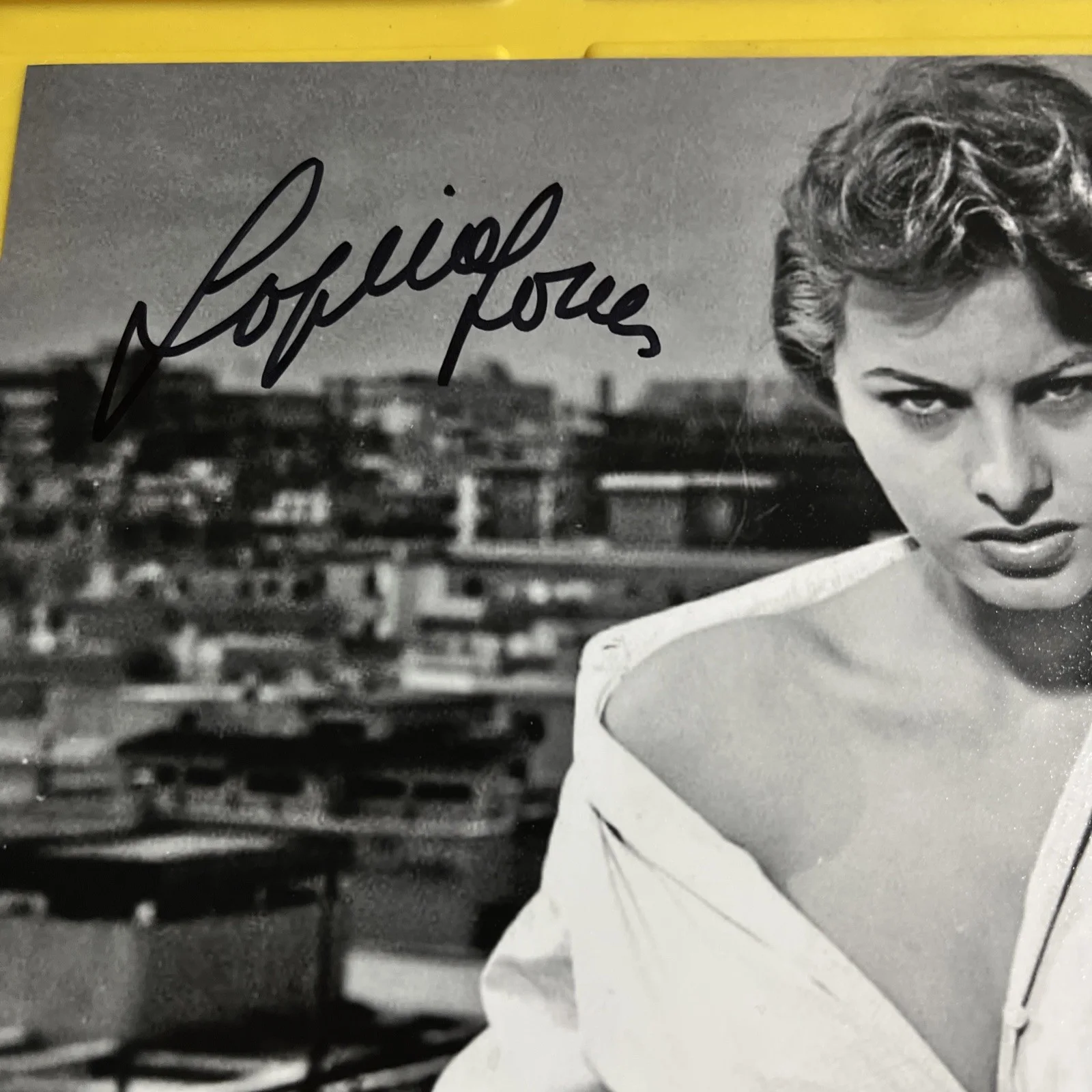 Sophia Loren — Sophia Loren Signed BEAUTIFUL Photo Auto JSA COA RARE Legendary Actress 8x10, изображение 2