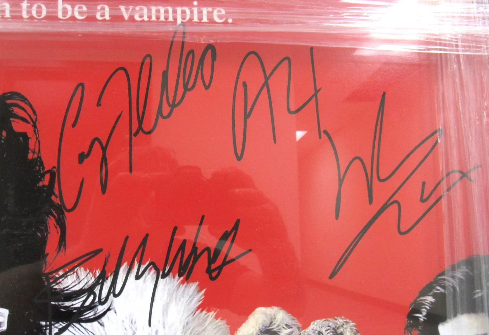 Kiefer Sutherland — THE LOST BOYS Movie Poster Custom Framed with 11 SIGNATURES 28 x 41 + LP & DVD, изображение 3
