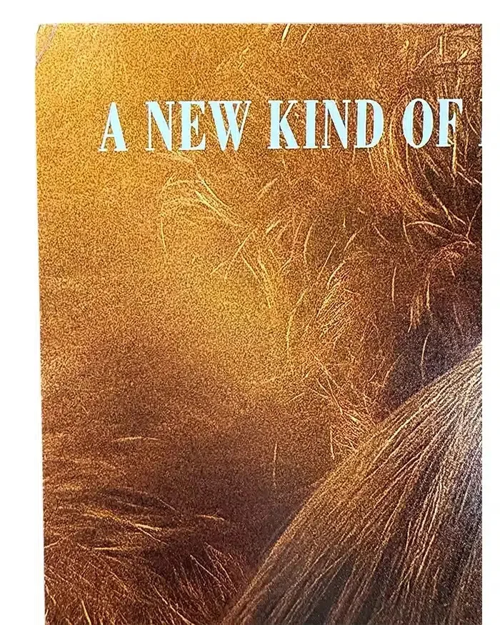 Drew Hancock — Drew Hancock signed 11x17 Poster Director Writer Companion JSA Authentication, изображение 2