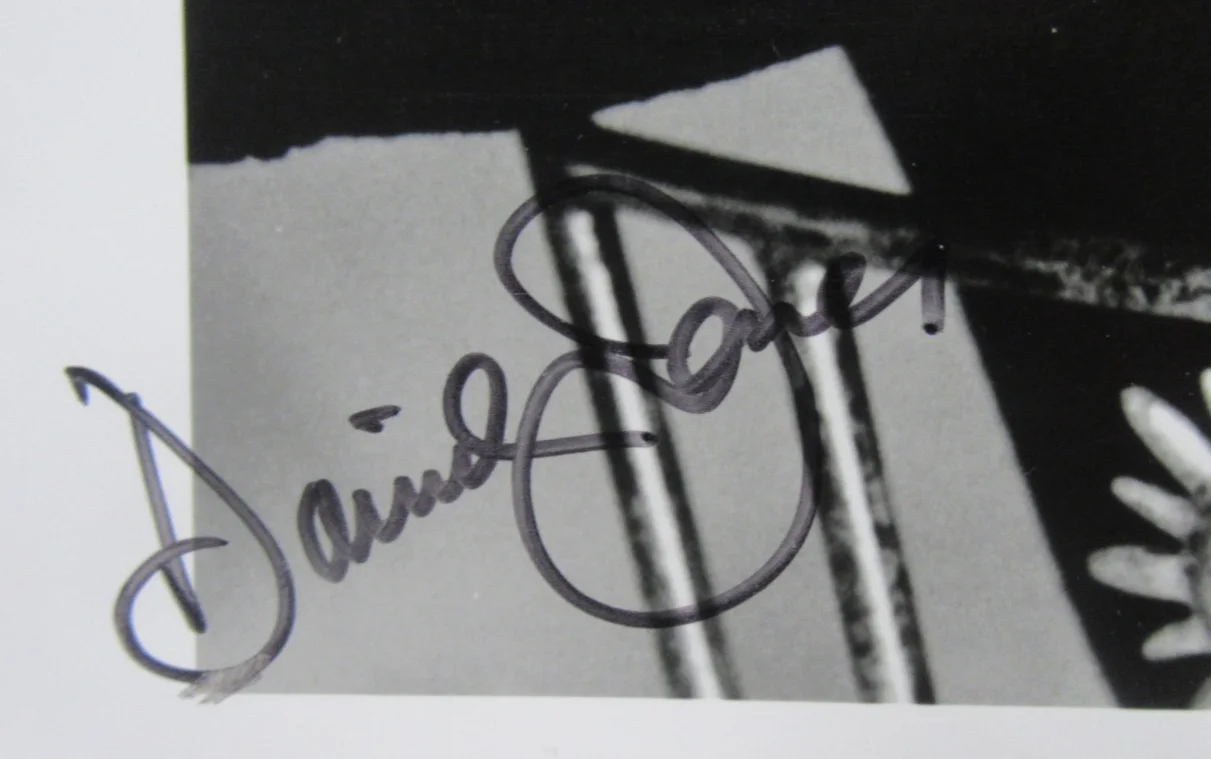 DAVY JONES PHOTO - A GREAT SHOT - THE MONKEES - SUPER RARE, image 2