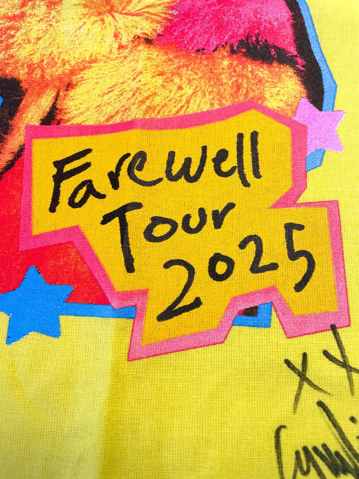 Cyndi Lauper Signed Autographed 2025 FAREWELL TOUR Tote Bag JSA Unusual, изображение 3