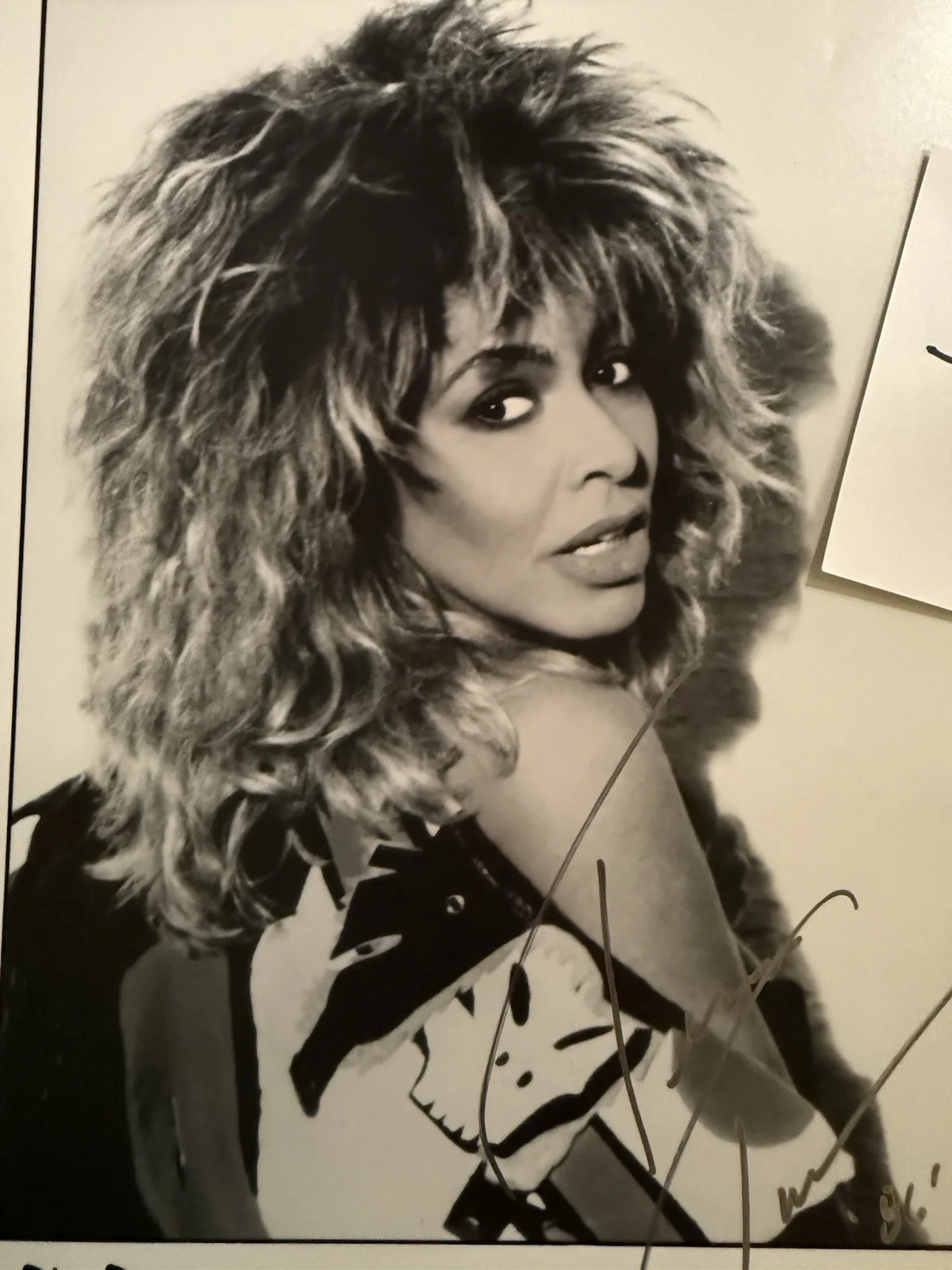 Tina Turner Stunning Hand Signed Autograph JSA COA 8x10 1986 Break Every Rule, изображение 4