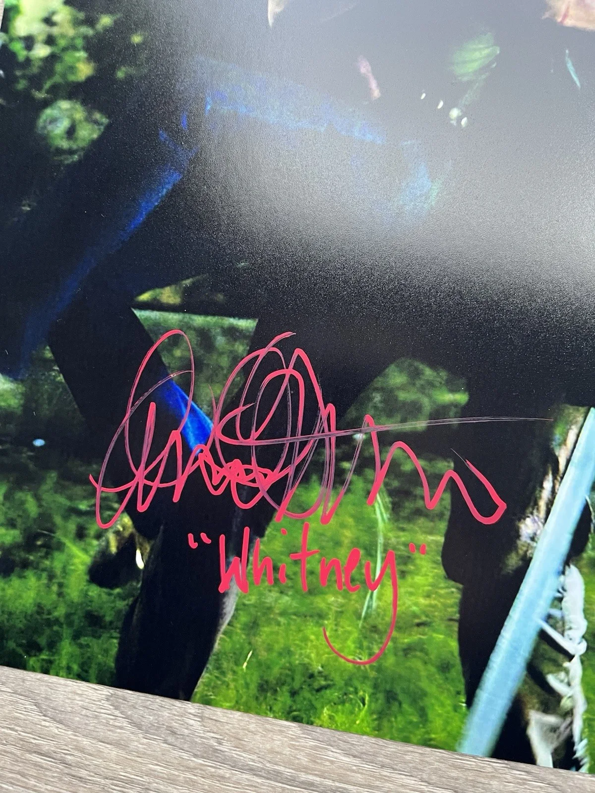 Amanda Righetti Signed Friday The 13th 11x14 Photo JSA COA Whitney Horror, изображение 4