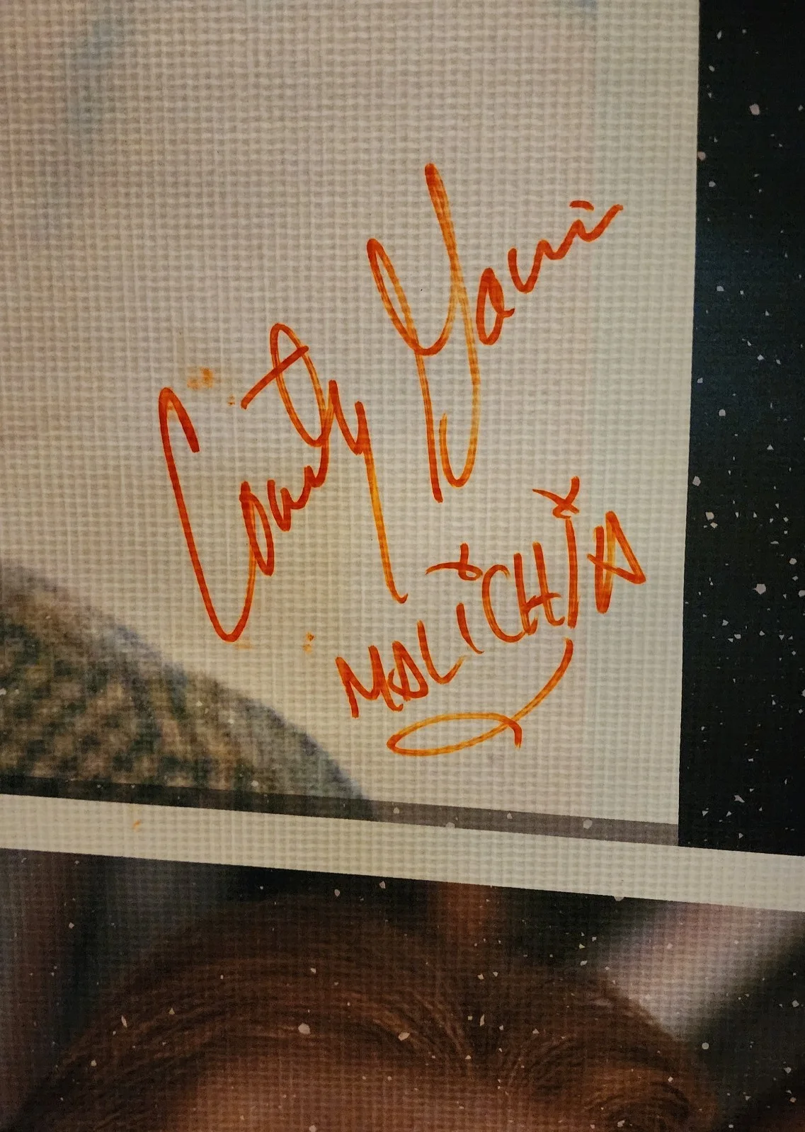Courtney Gains — Courtney Gains SIGNED! 36x48 Vinyl Banner Spooky Empire 2024 CotC, image 2