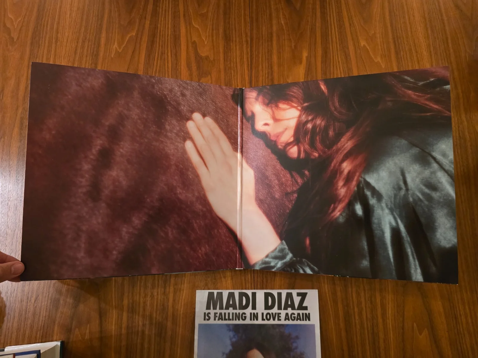 Madi Diaz SIGNED Weird Faith Album Jacket and Poster / Zine Combo Set, изображение 5