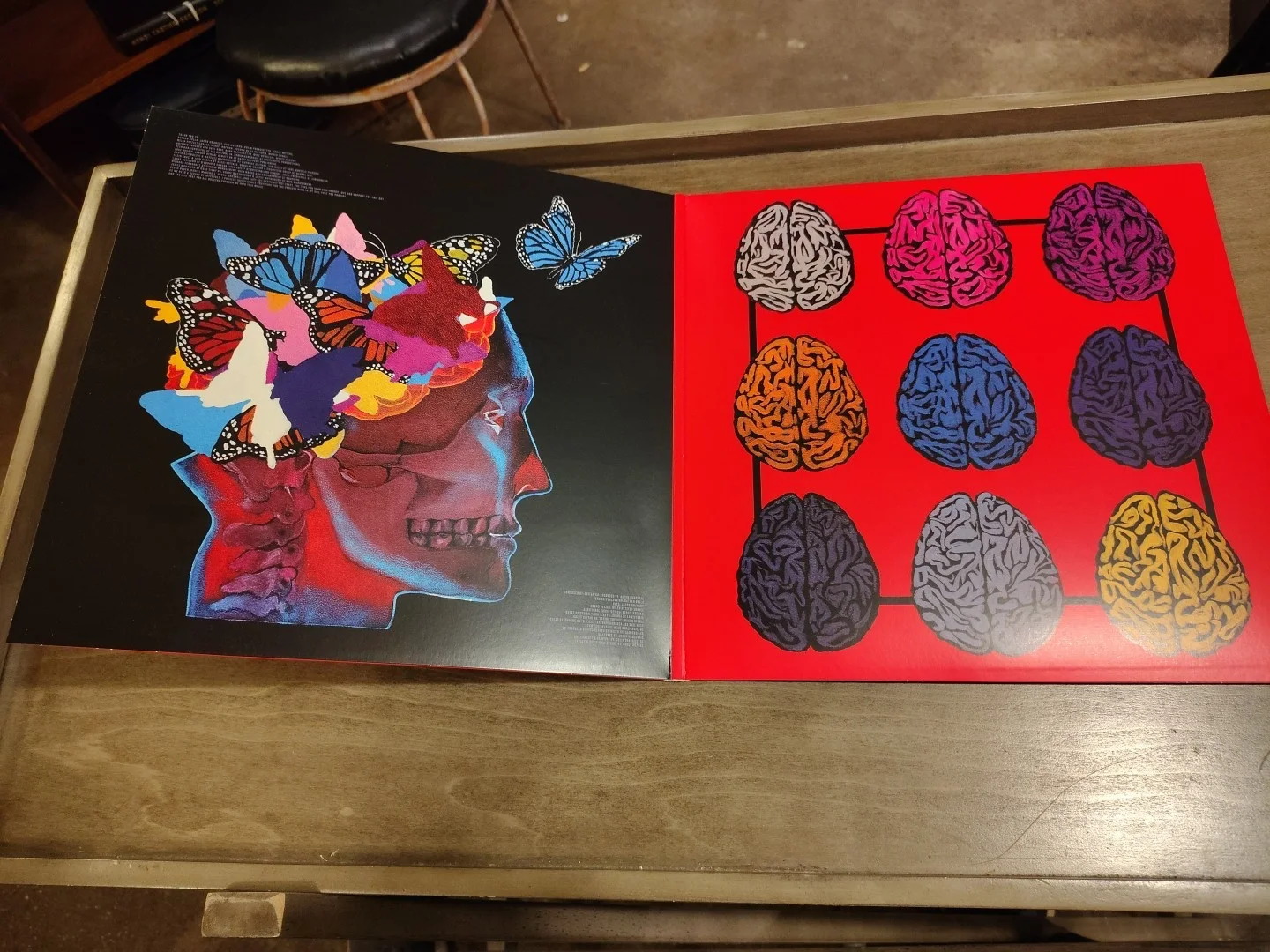 Autographed Album By The Intervals Circadian, изображение 3