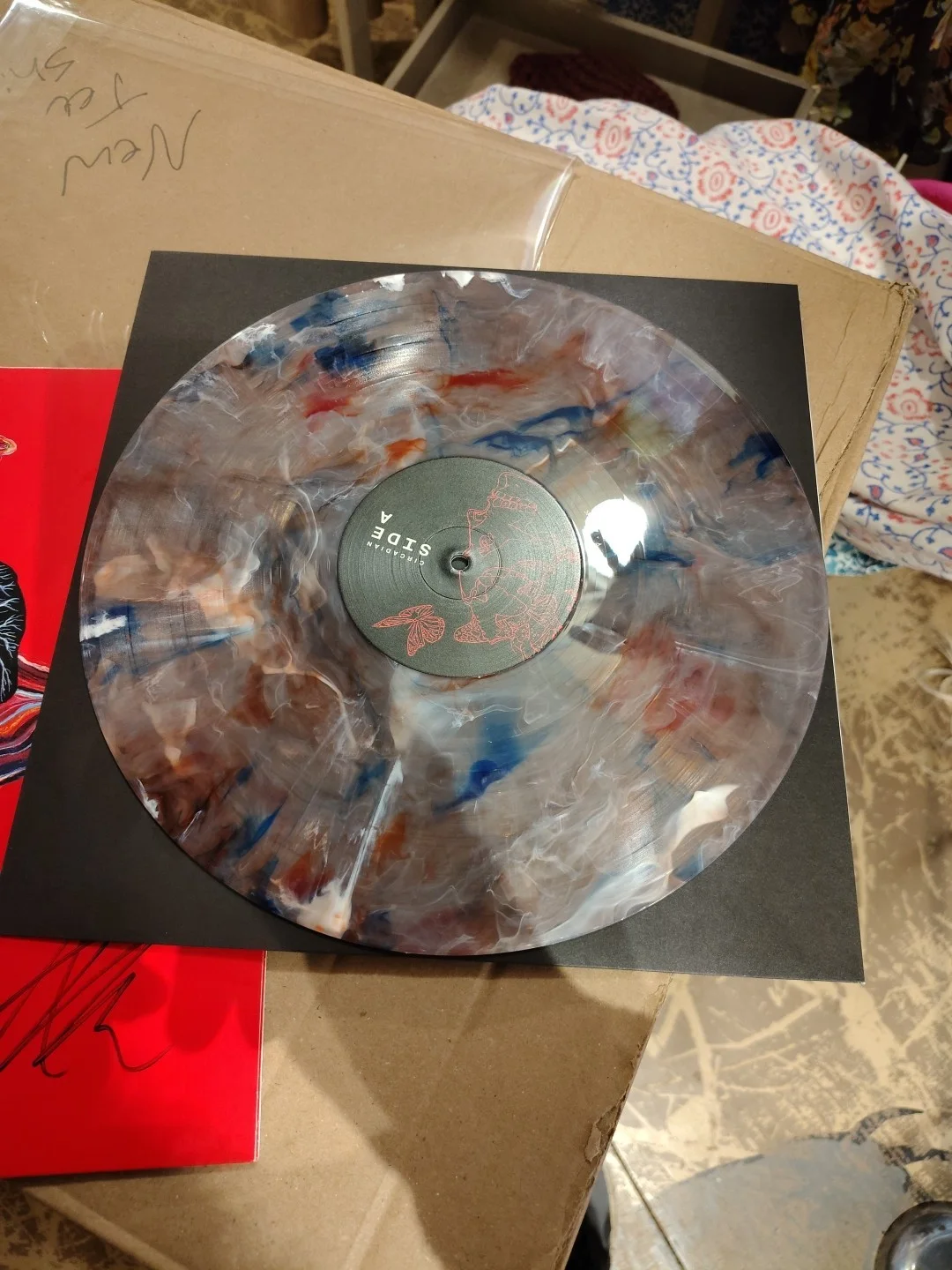 Autographed Album By The Intervals Circadian, изображение 4