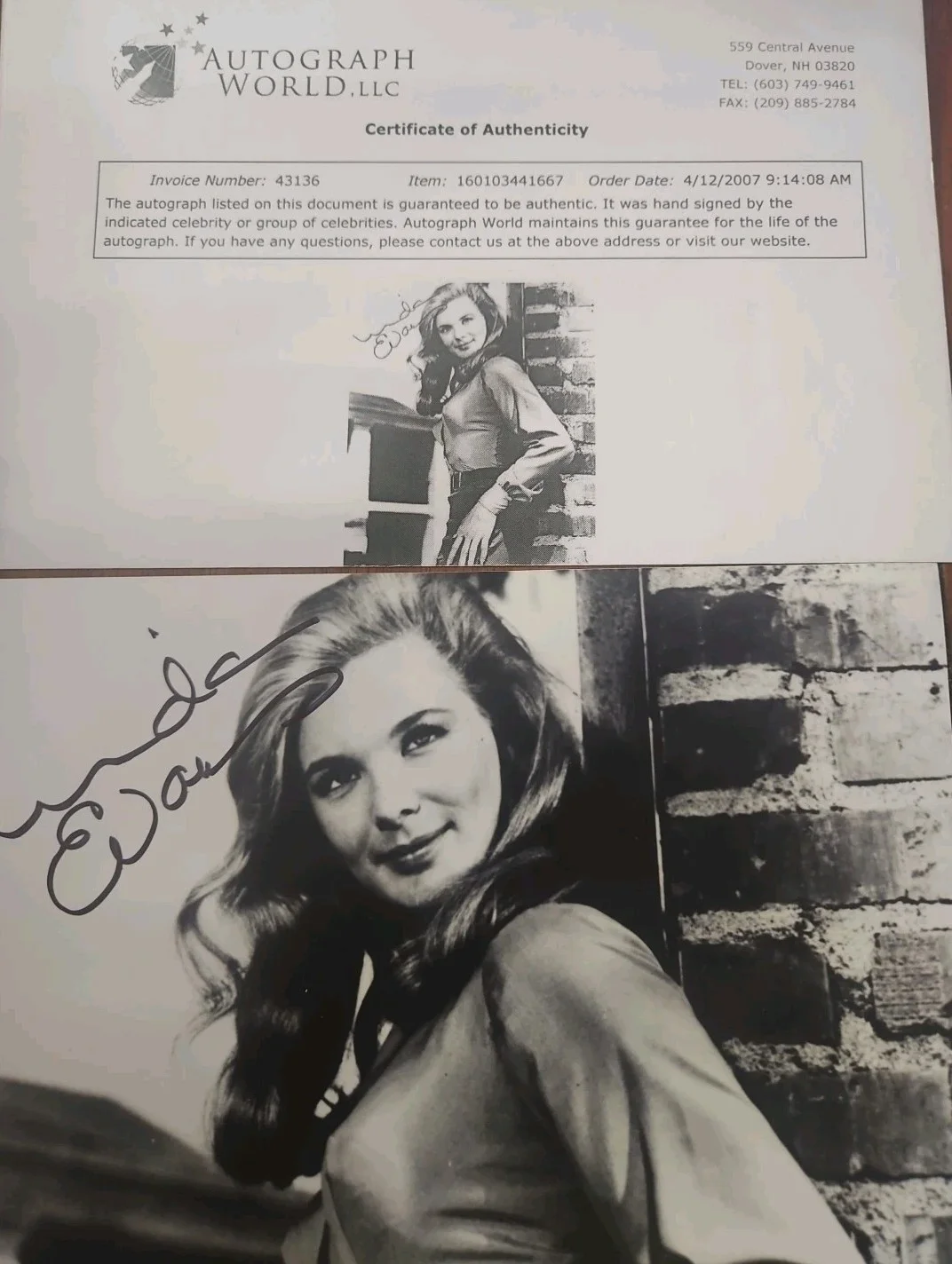 Linda Evans Signed 8x10 Photo – Dynasty – Hand Autographed – COA, изображение 5