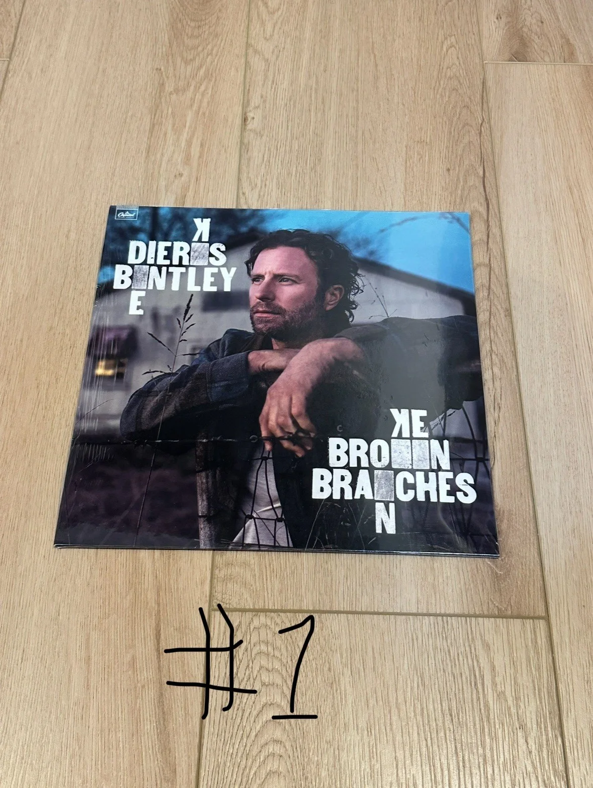 Dierks Bentley-SIGNED BROKEN BRANCHES-Translucent Light Blue Vinyl-ICE ART CARD, image 3
