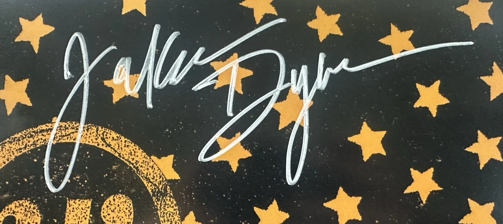 JAKOB DYLAN SIGNED BRINGING DOWN THE HORSE VINYL RECORD ALBUM LP JSA COA, image 2