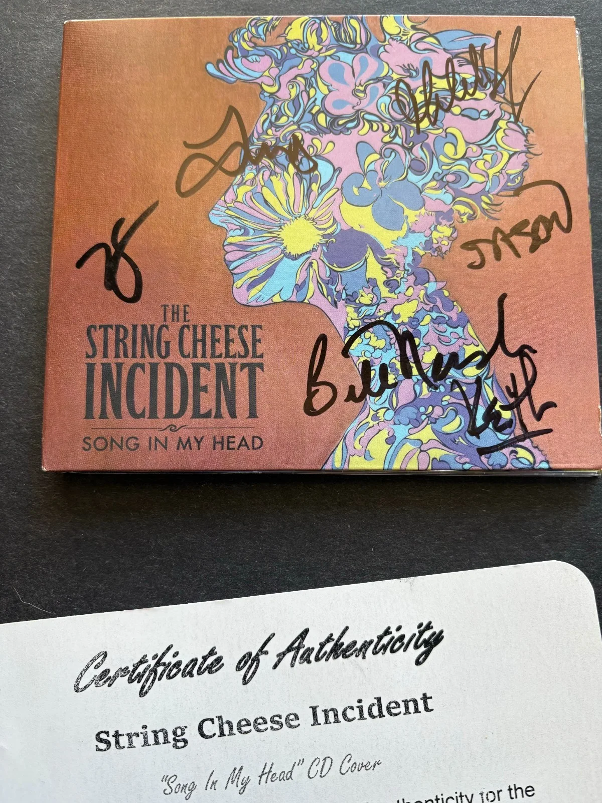 Band The String Cheese Incident "Song In My Head" Autographed CD Cover w No Disc, изображение 2