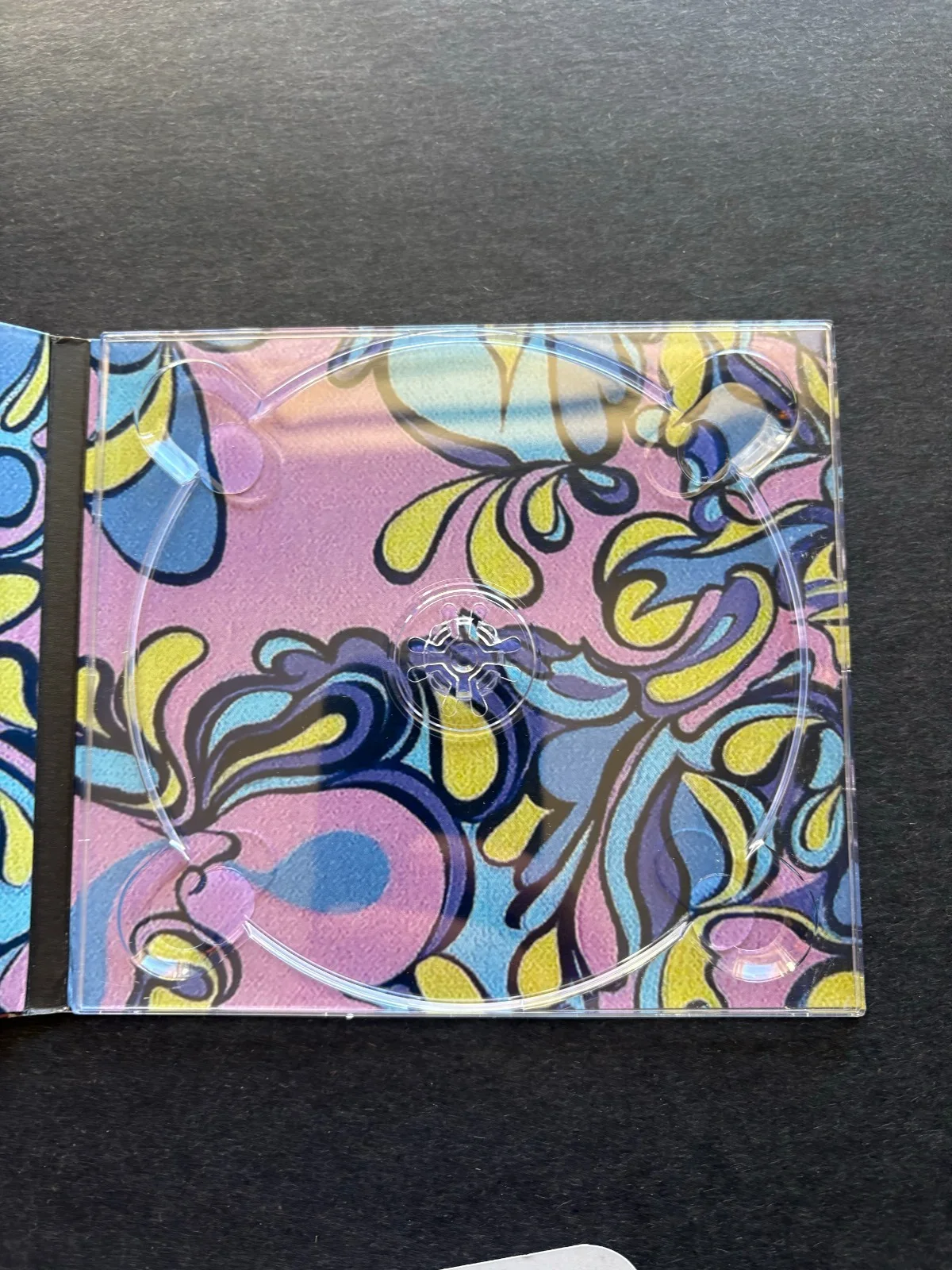 Band The String Cheese Incident "Song In My Head" Autographed CD Cover w No Disc, изображение 4