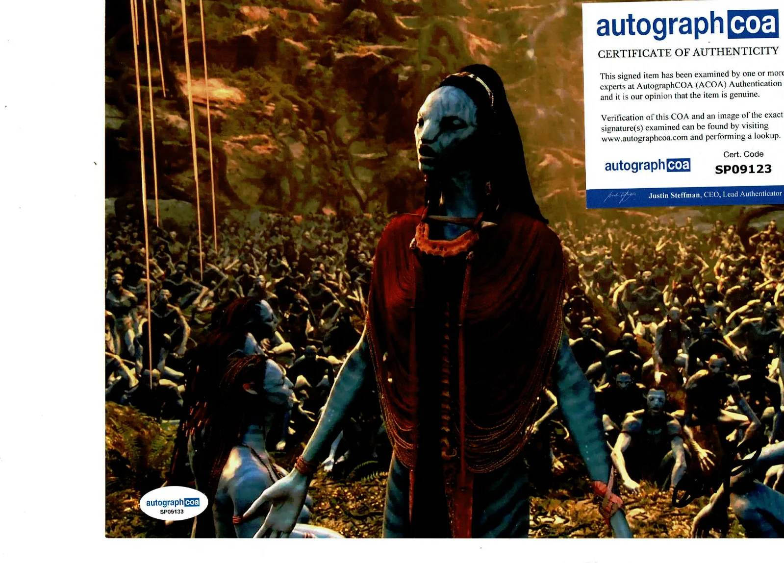 CCH Pounder — Avatar CCH Pounder autographed 8x10 great color Photo Certified