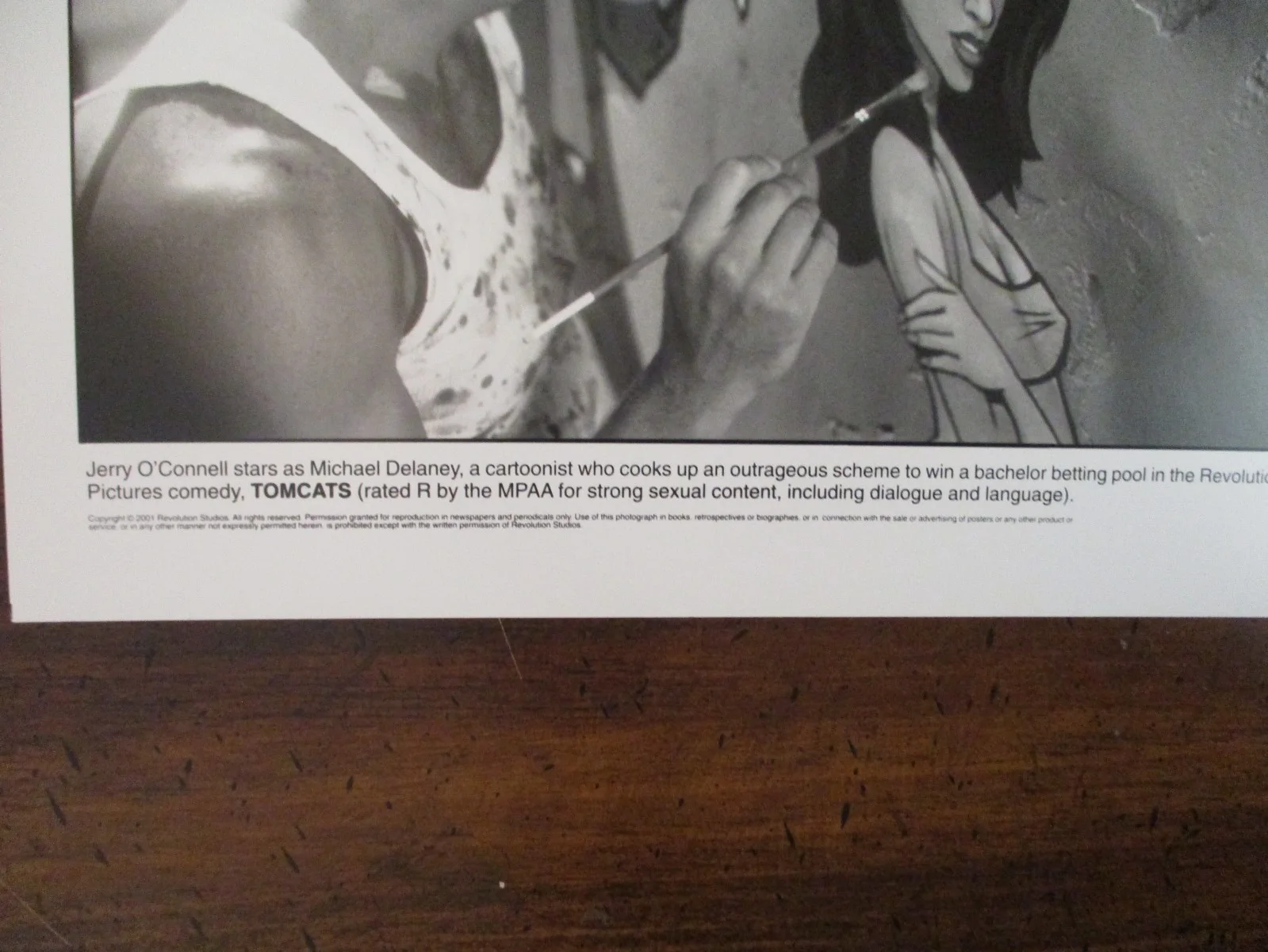 Jerry O'Connell ("TOMCATS") 2001 10 x 8 Glossy Black and White Press Photo, image 2