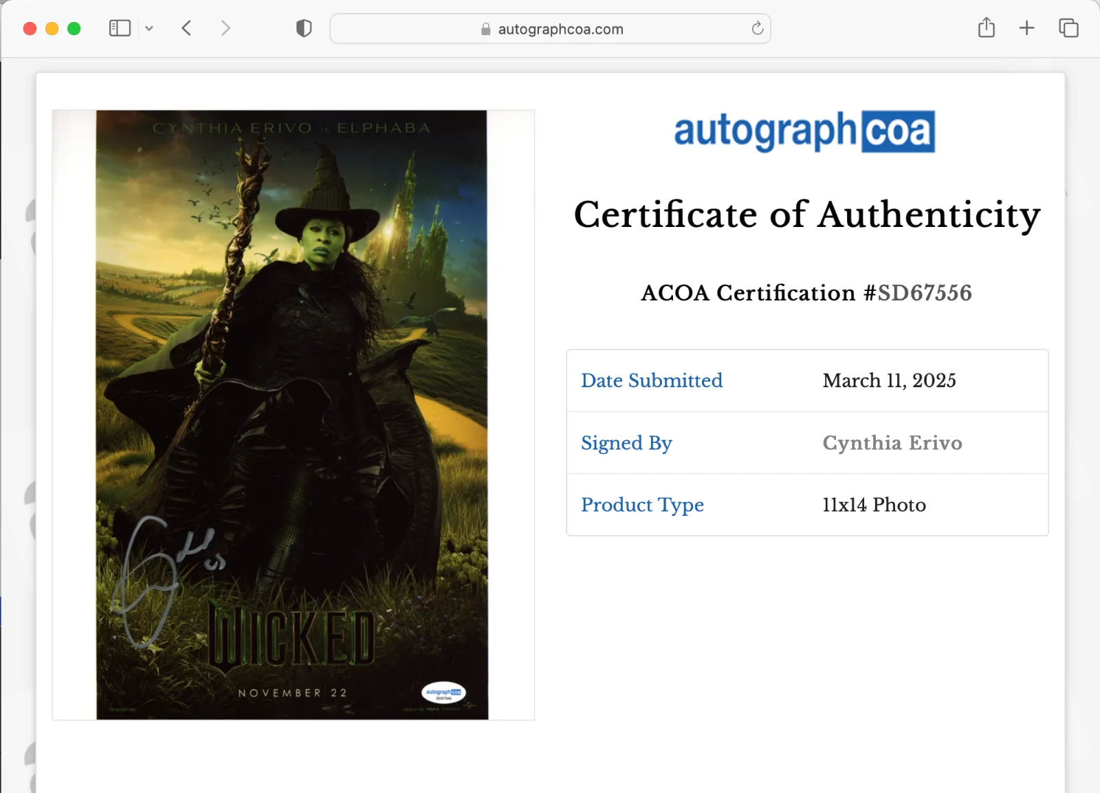Cynthia Erivo — CYNTHIA ERIVO SIGNED 11X14 PHOTO AUTOGRAPH ACOA COA ELPHABA WICKED, image 3