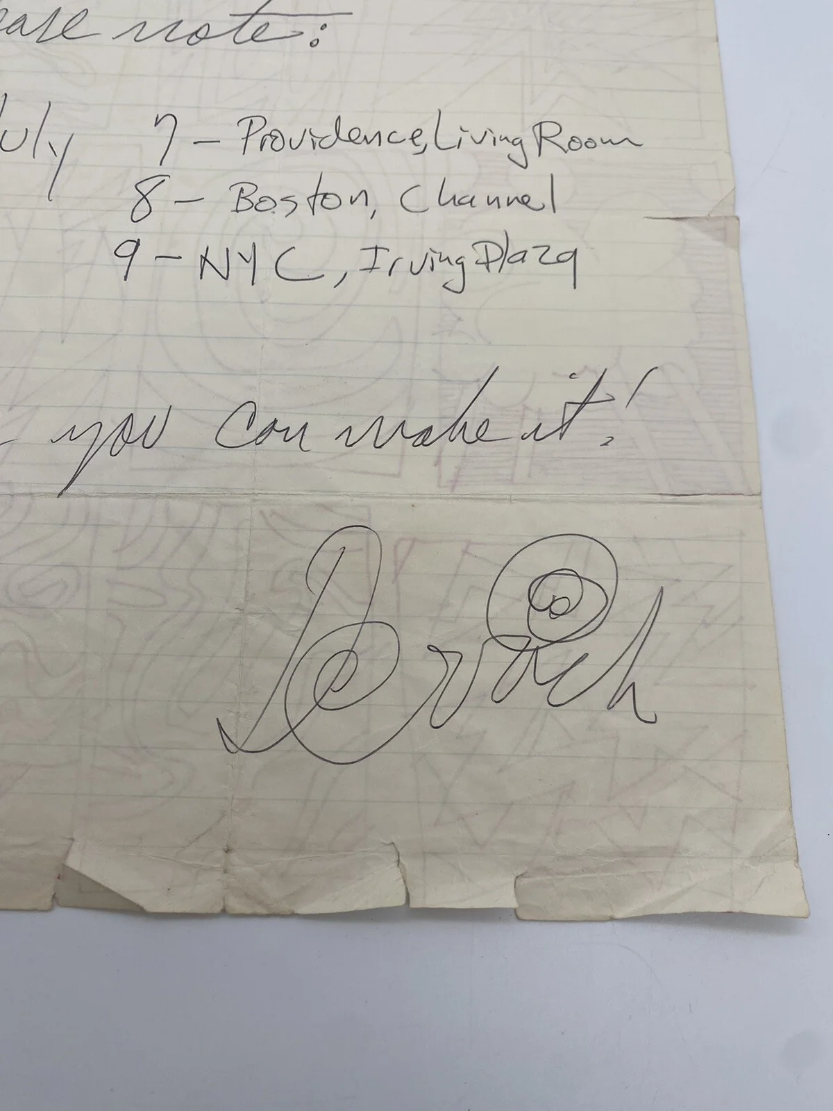 Meat Puppets Lot, Original Art Work, Signed Letter By Derrick Bostrom And Vinyls, image 5