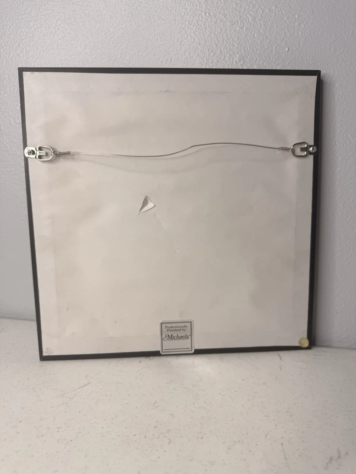 Ces Cru – “Codename: Ego Stripper” Framed & Autographed Album, image 5