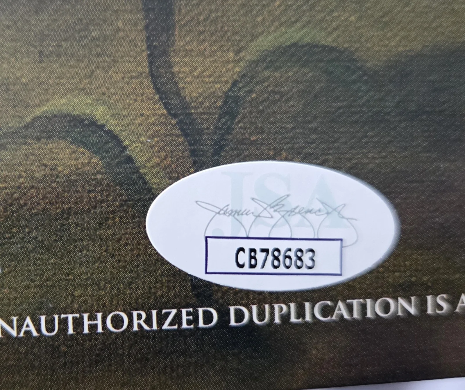 Silverstein Arrivals & Departures Autographed Vinyl Album JSA, image 2