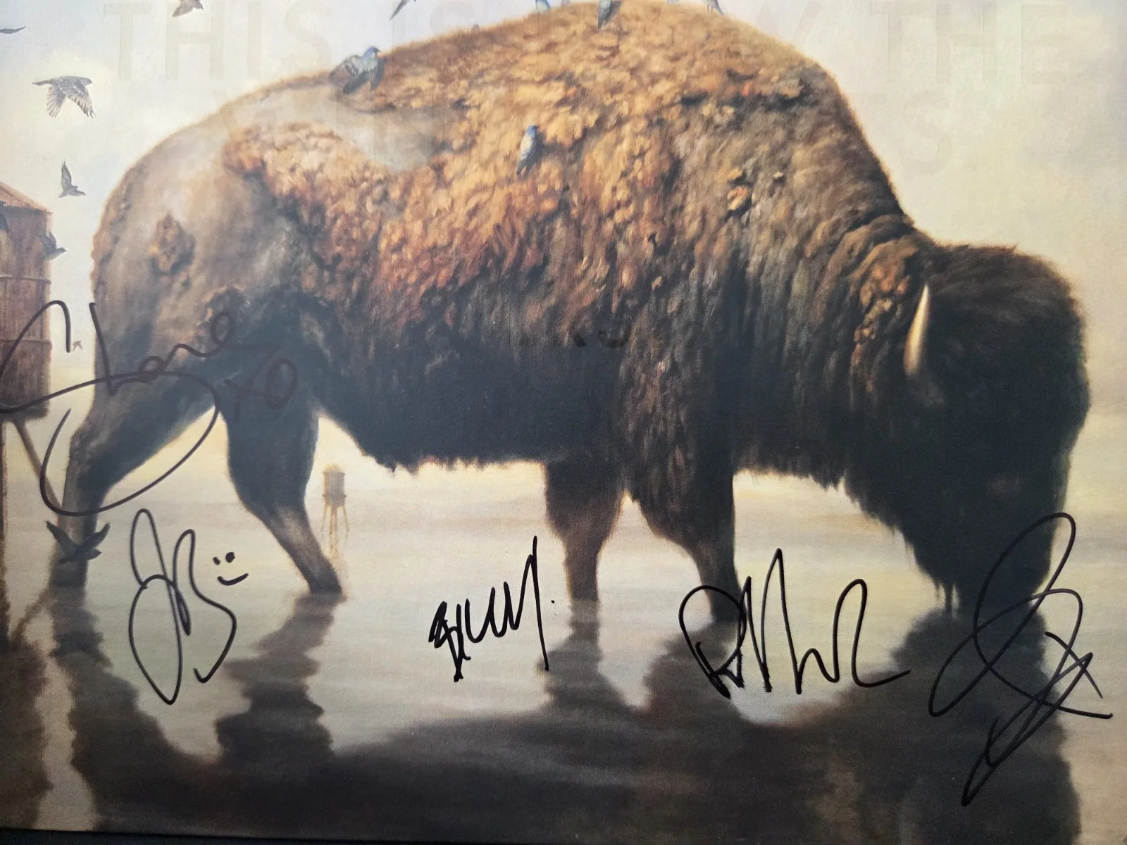 Silverstein This Is How The Wind Shifts Autographed Vinyl Album JSA, image 2
