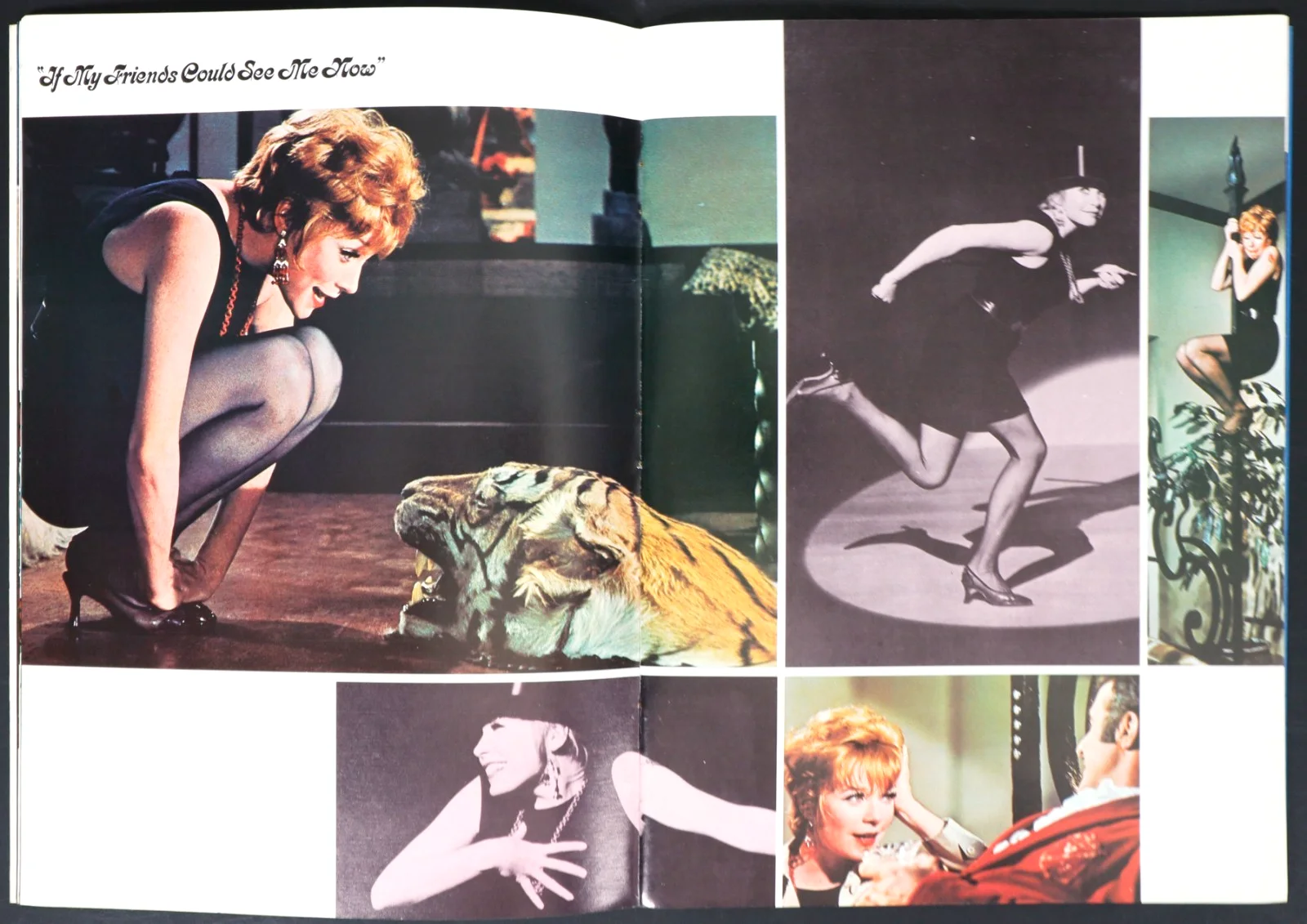 Sweet Charity ORIGINAL Movie Brochure Shirley MacLaine Bob Fosse 1969, изображение 2