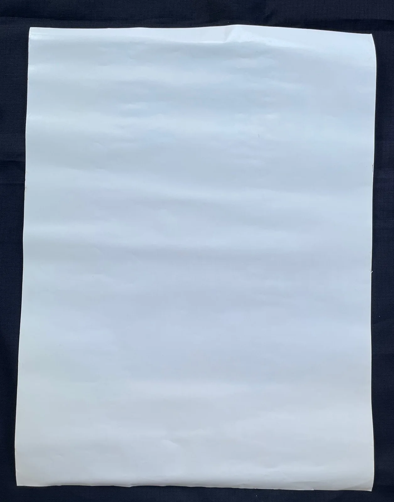 JOHN TEMPESTA White Zombie — WHITE ZOMBIE 1995 ASTROCREEP 2000 JOHN TEMPESTA signed Geffen PROMO POSTER VG+, image 5