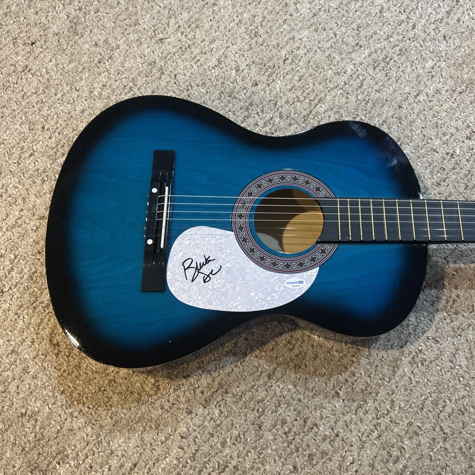 BUCK DHARMA SIGNED AUTOGRAPH 38” ACOUSTIC GUITAR ACOA BLUE OYSTER CULT, image 3