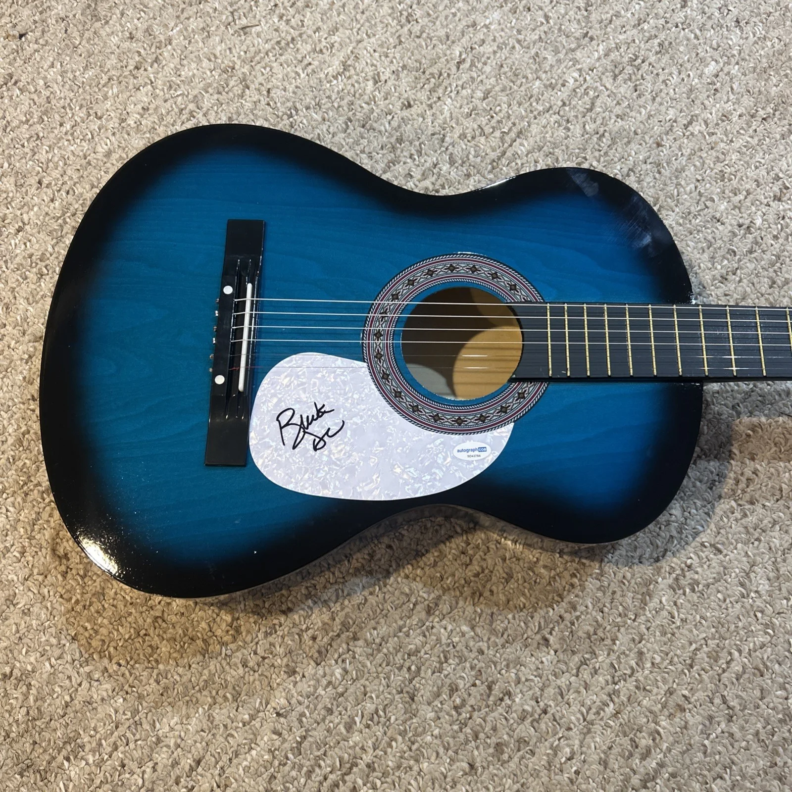 BUCK DHARMA SIGNED AUTOGRAPH 38” ACOUSTIC GUITAR ACOA BLUE OYSTER CULT, image 4