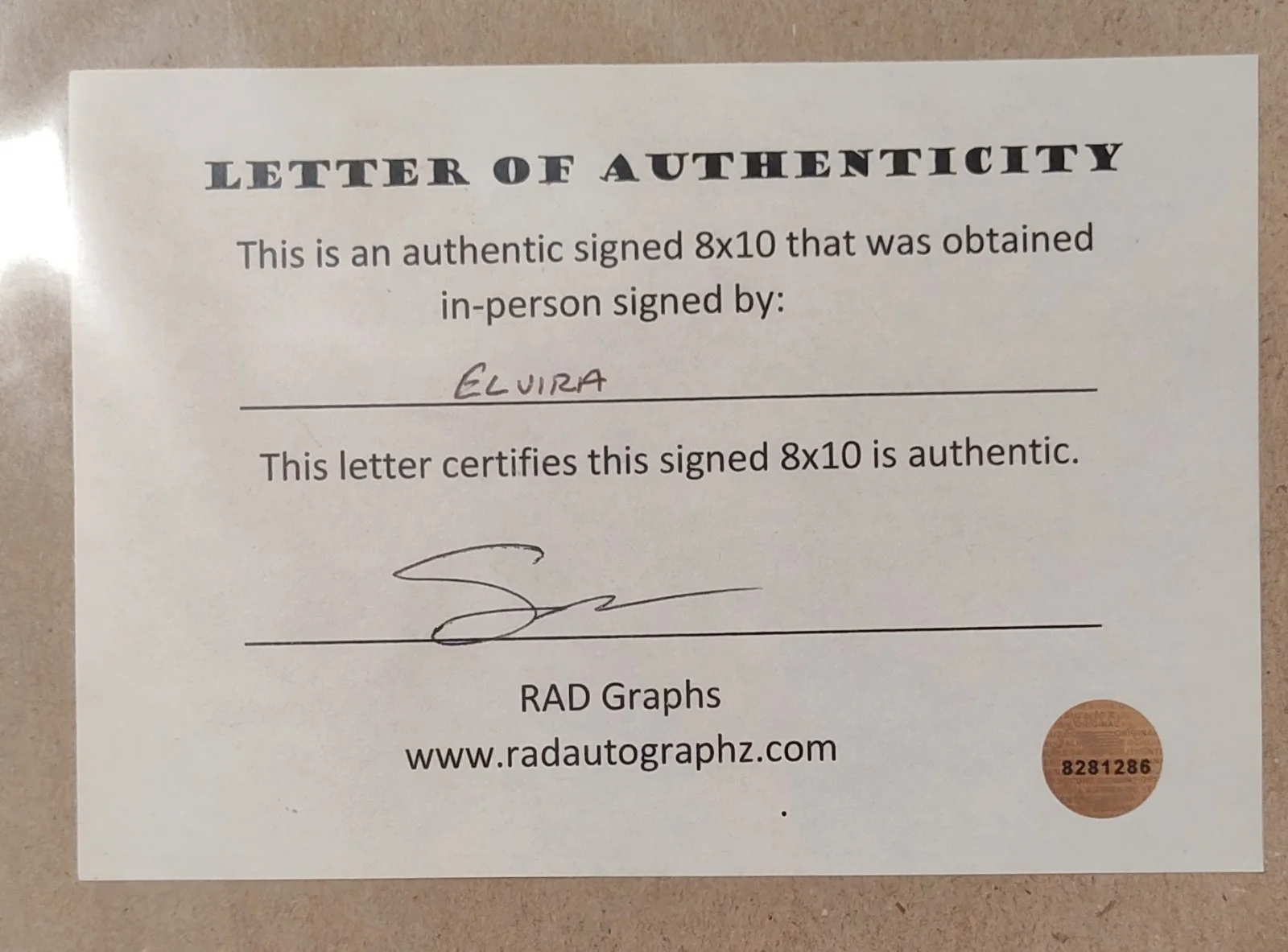 Elvira Autographed 8x10 Photo with Certificate of Authenticity, image 2